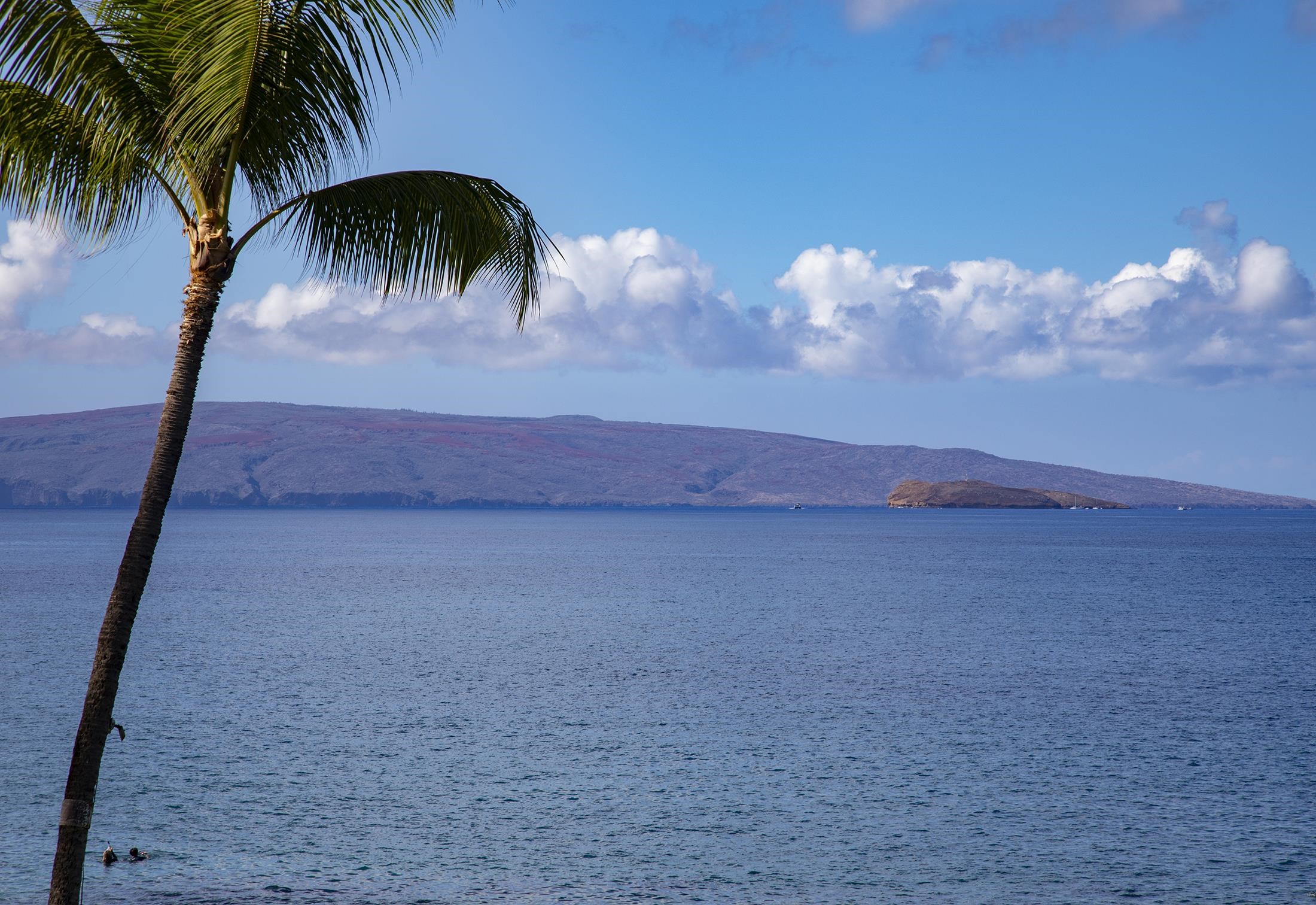 Makena Surf condo # F-207, Kihei, Hawaii - photo 29 of 34