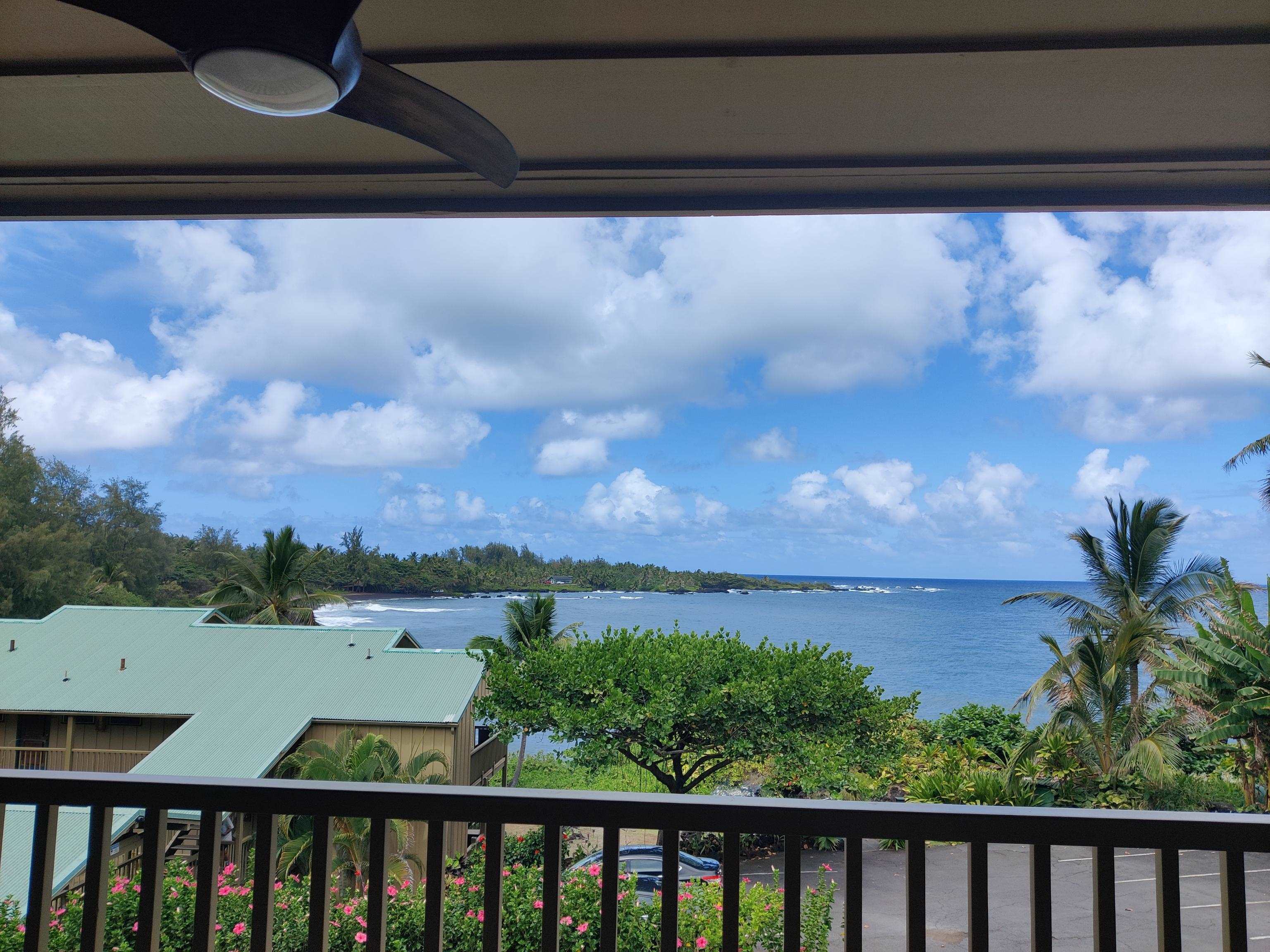 Hana Kai-Maui condo # 102, Hana, Hawaii - photo 11 of 24