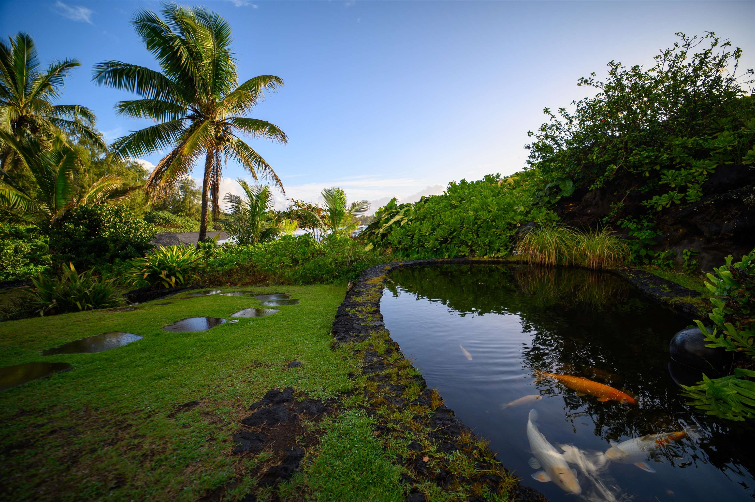 Hana Kai-Maui condo # 102, Hana, Hawaii - photo 17 of 24