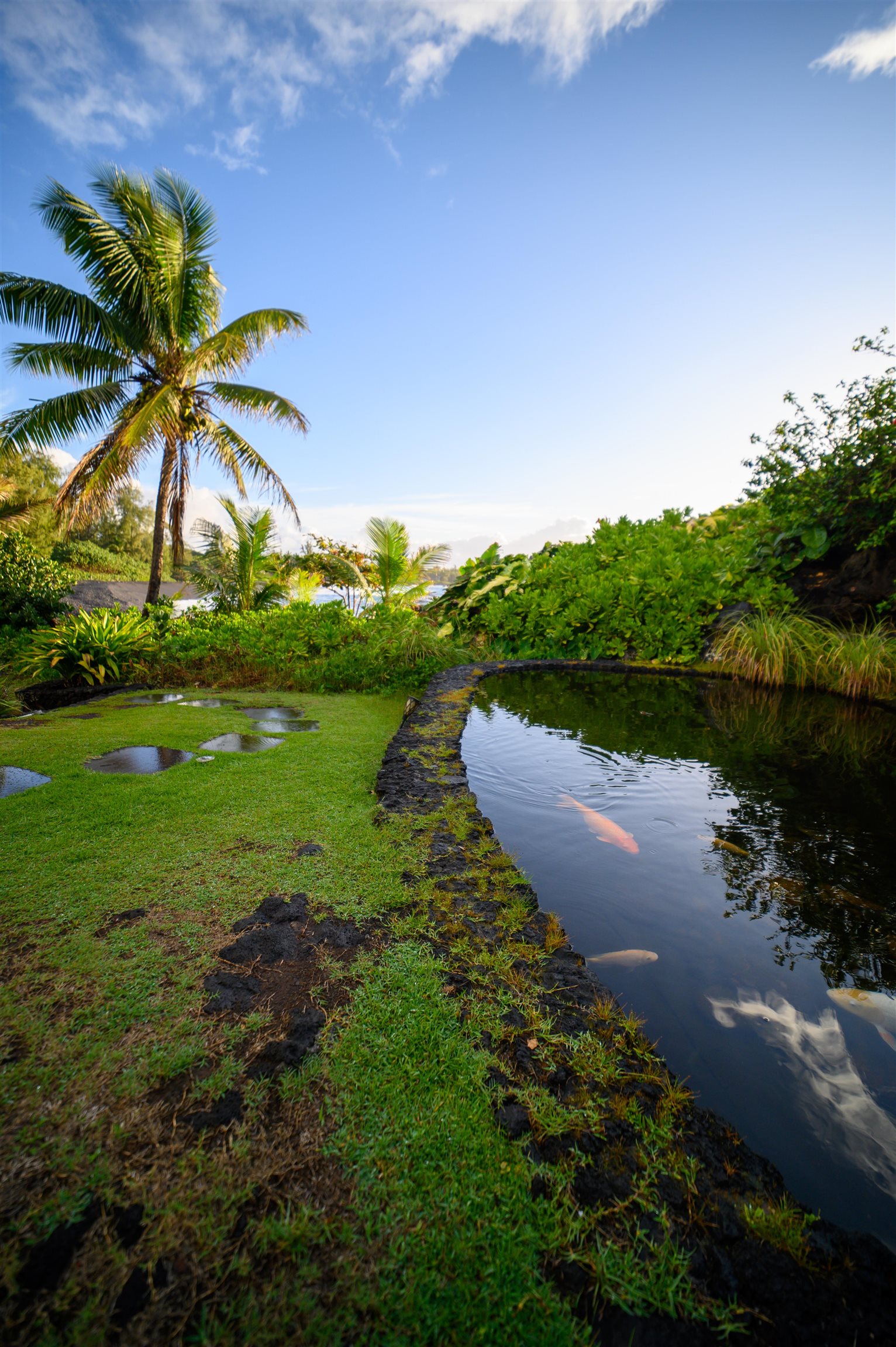Hana Kai-Maui condo # 102, Hana, Hawaii - photo 18 of 24