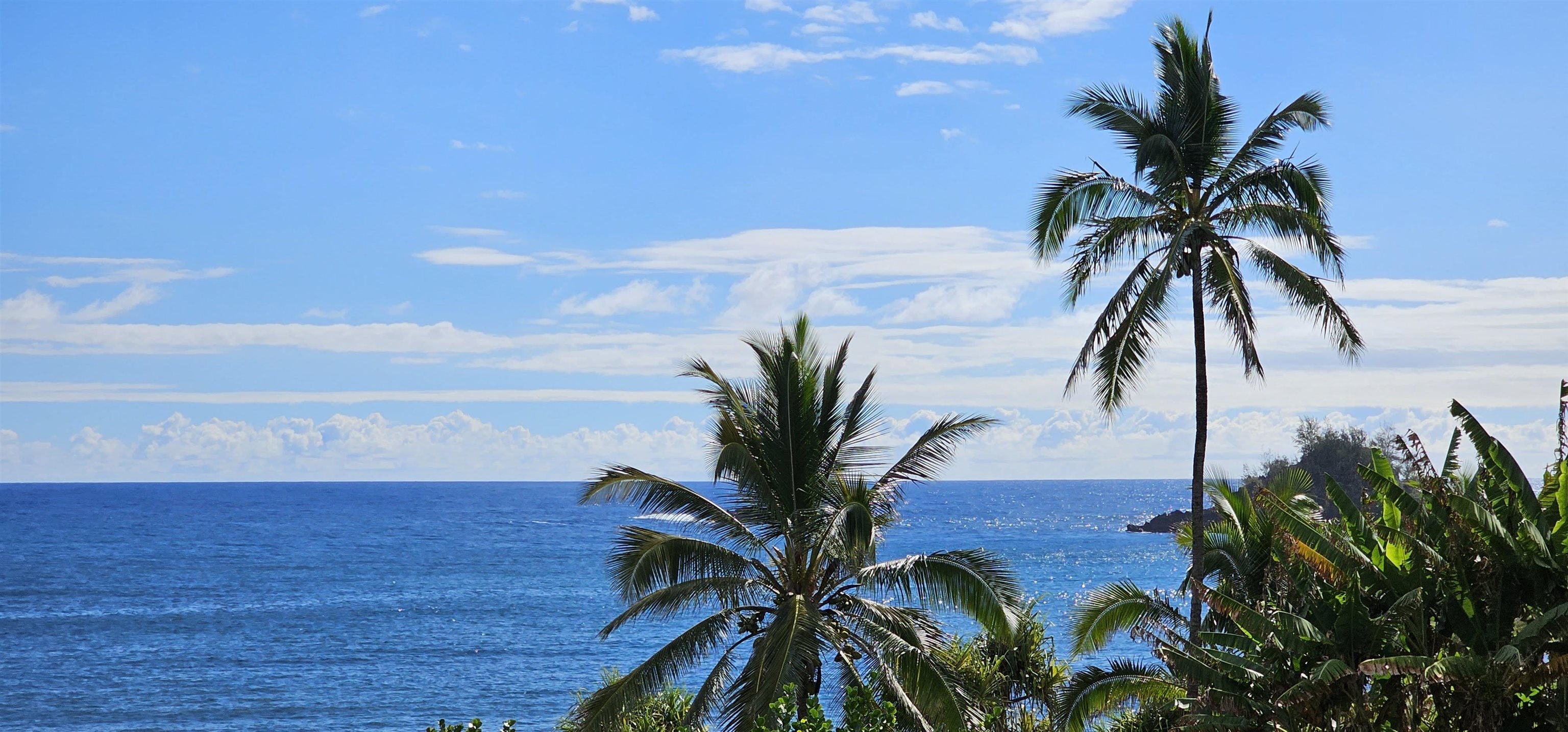 Hana Kai-Maui condo # 207, Hana, Hawaii - photo 8 of 15