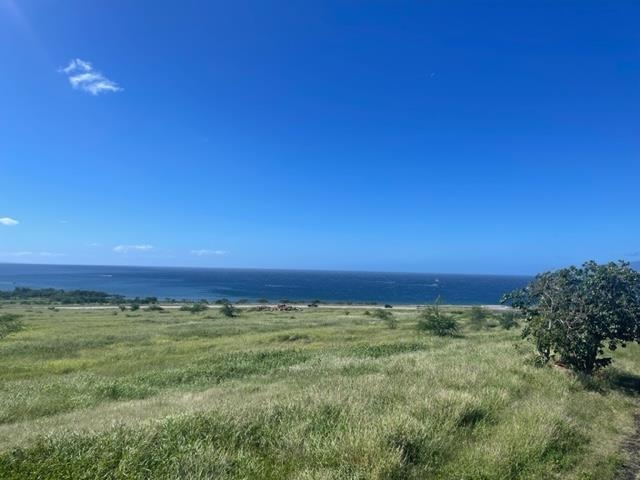 487 Haniu St 4 Lahaina, Hi vacant land for sale - photo 15 of 30