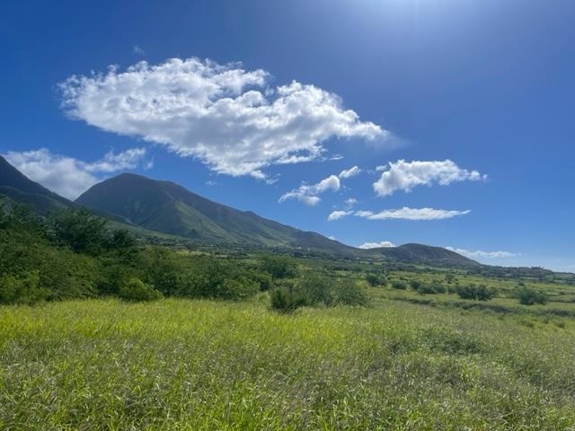 487 Haniu St 4 Lahaina, Hi vacant land for sale - photo 22 of 30