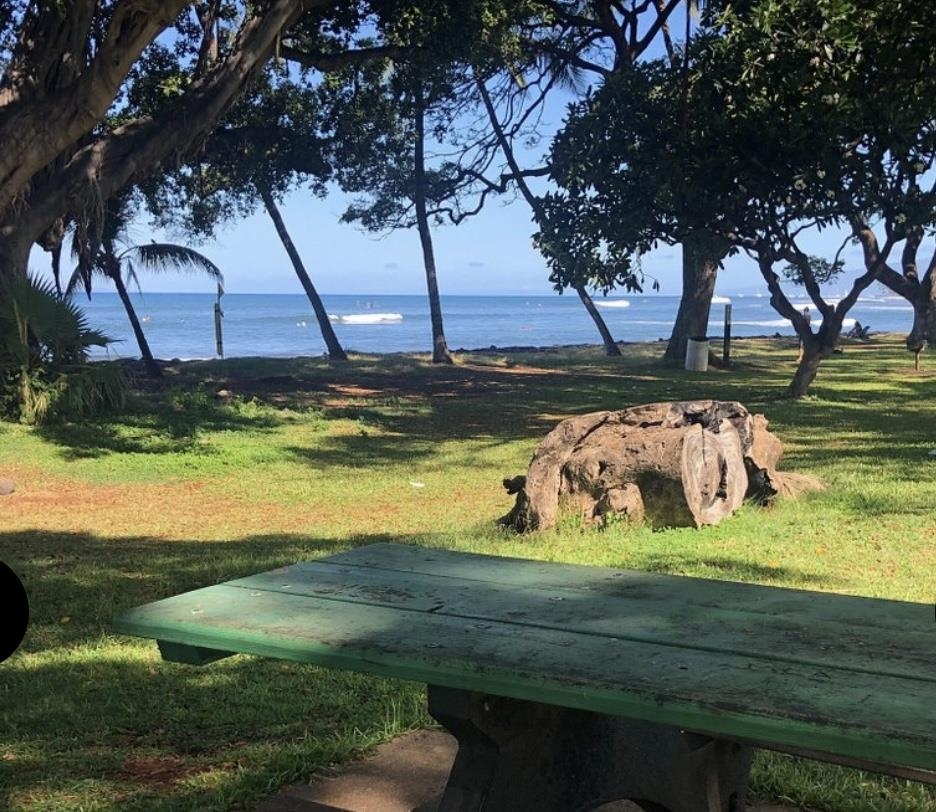 487 Haniu St 4 Lahaina, Hi vacant land for sale - photo 25 of 30