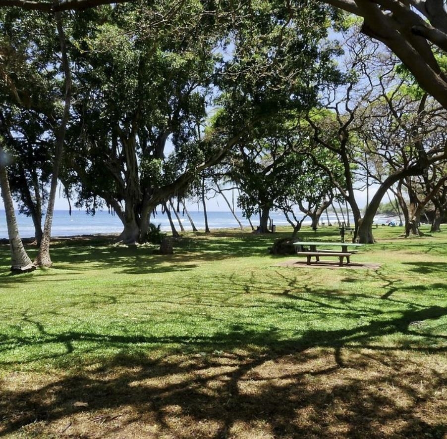 487 Haniu St 4 Lahaina, Hi vacant land for sale - photo 27 of 30