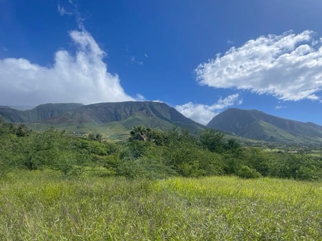 487 Haniu St 4 Lahaina, Hi vacant land for sale - photo 4 of 30