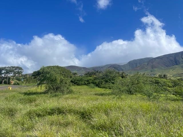 487 Haniu St 4 Lahaina, Hi vacant land for sale - photo 5 of 30