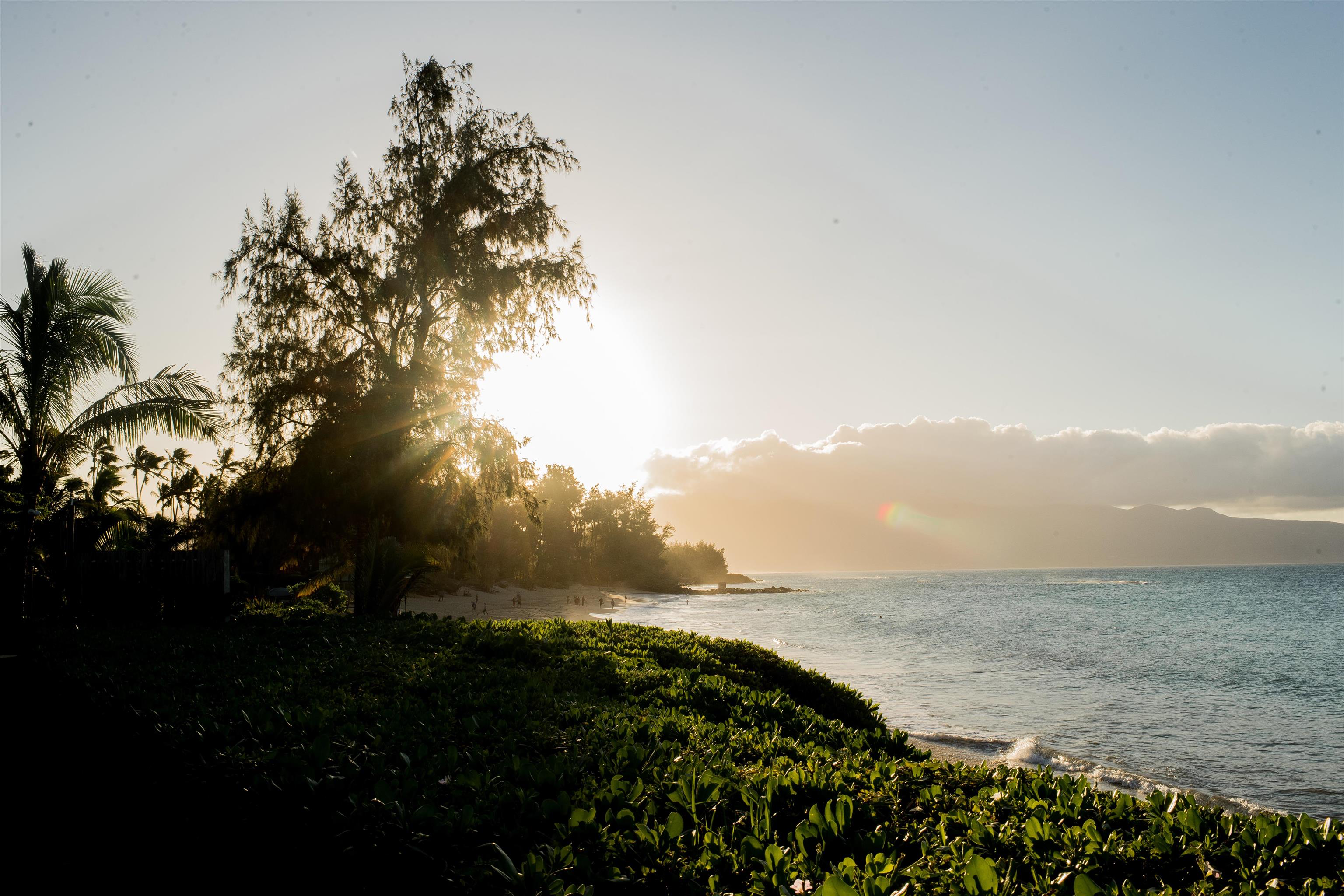 49 Hana Hwy Paia Town  - photo 9 of 10