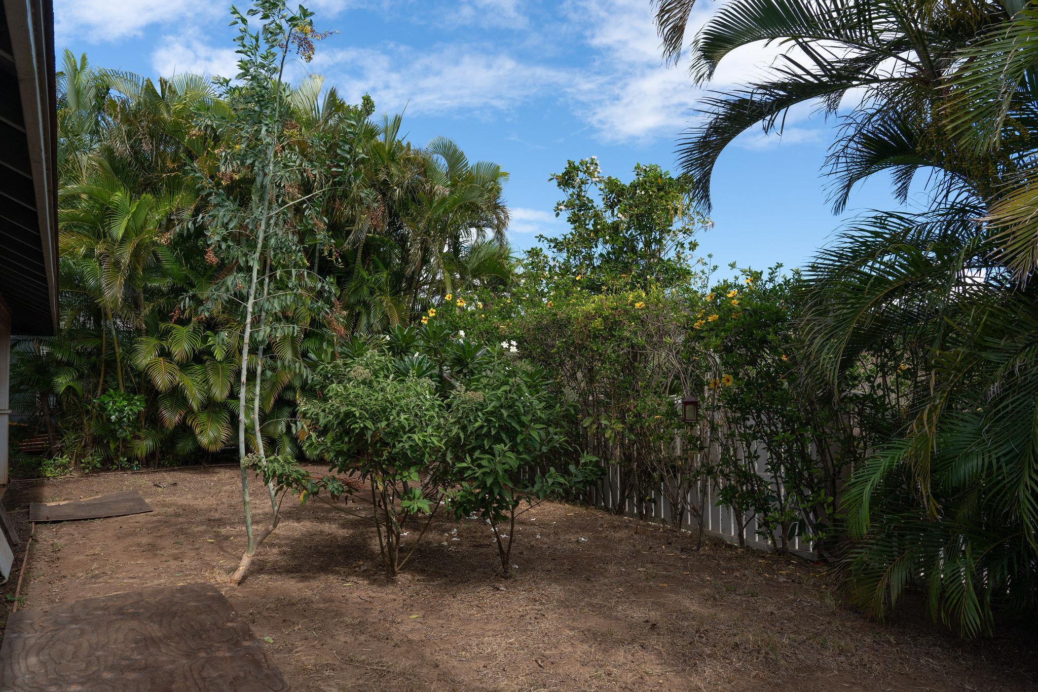 49  Hoowehi Pl , Kahului home - photo 24 of 29