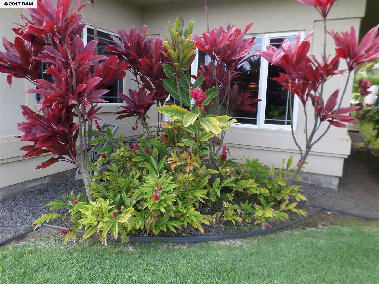 49  Kamaiki Cir Maui Lani-island & Bluffs, Kahului home - photo 30 of 30