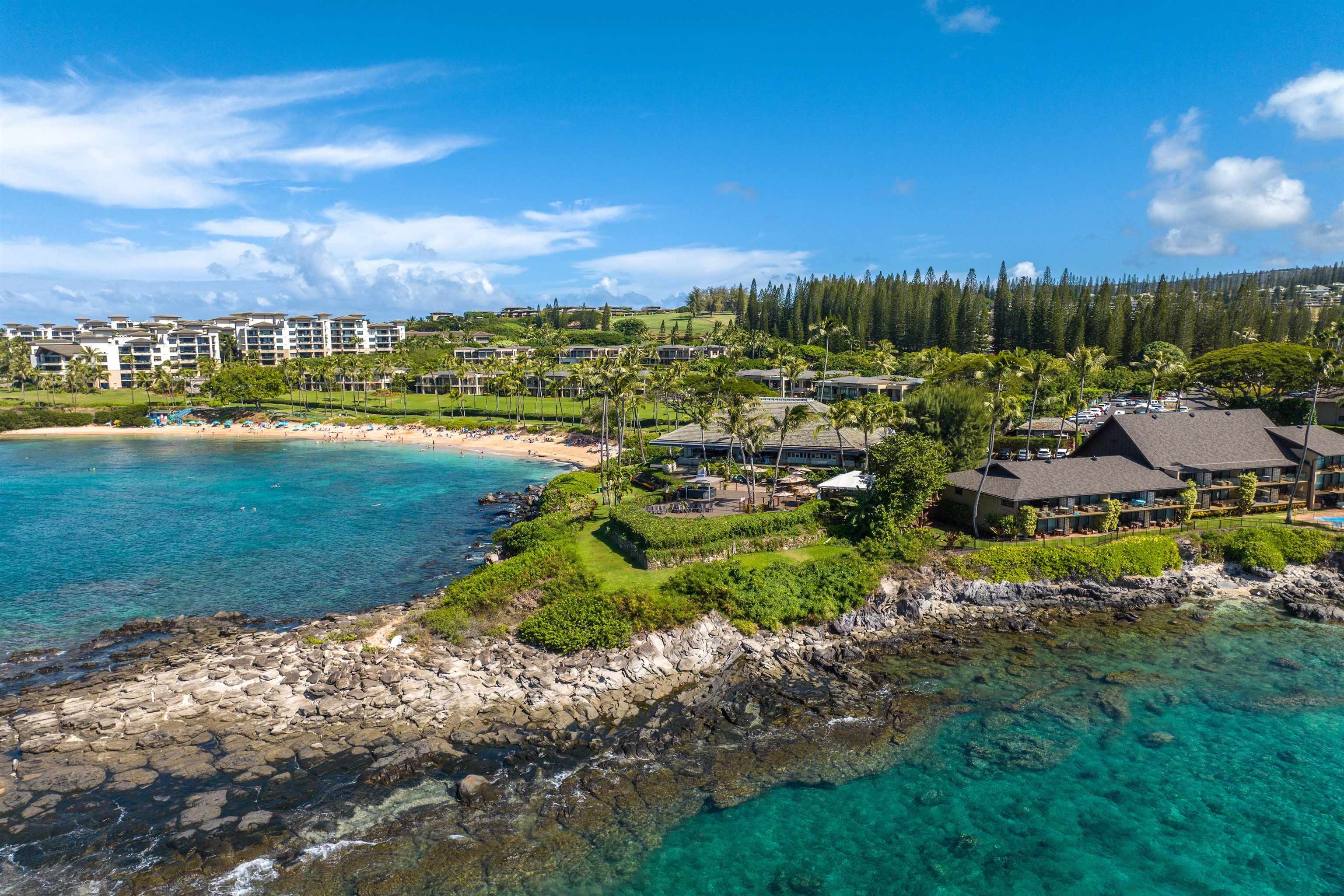 Puna Point I condo # 211, Lahaina, Hawaii - photo 47 of 50