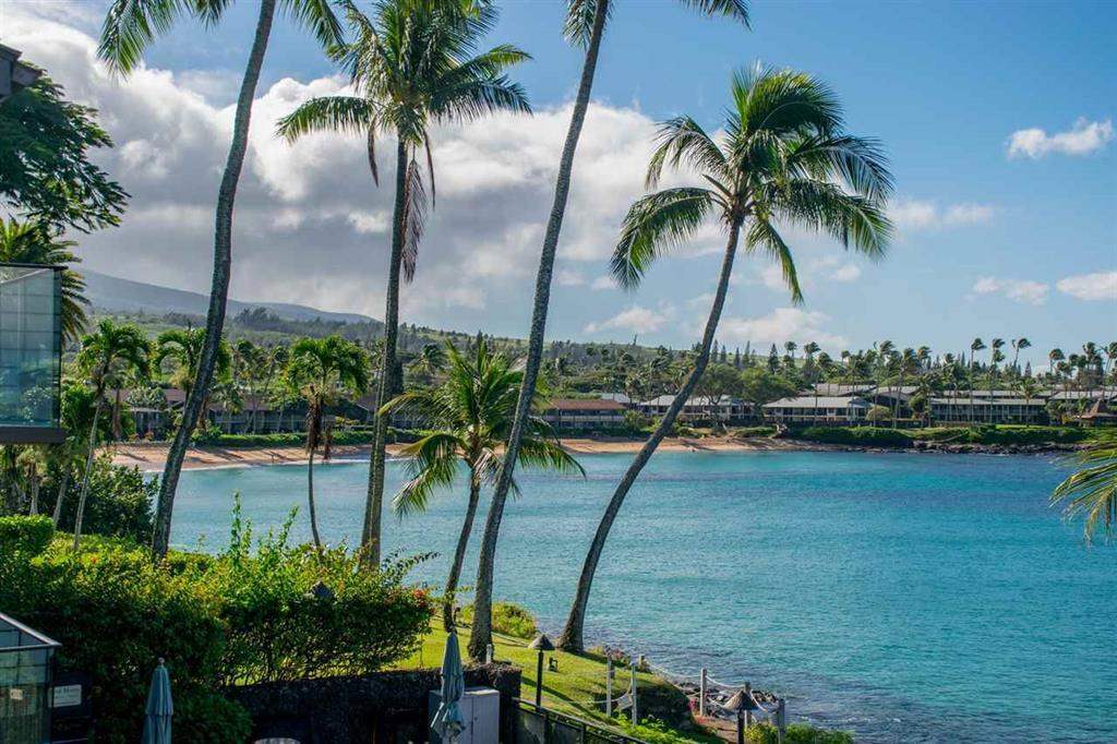 Puna Point I condo # 216, Lahaina, Hawaii - photo 20 of 25