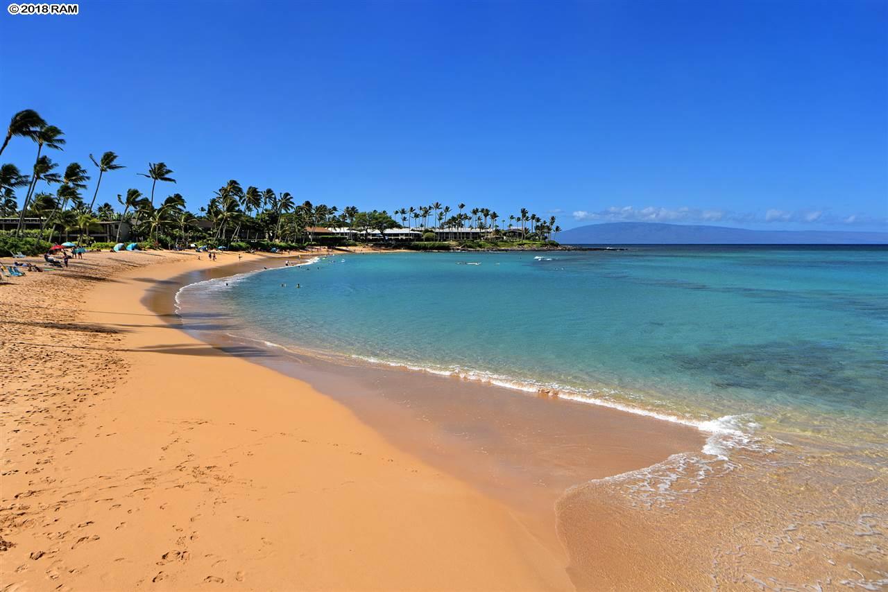 Puna Point I condo # 218, Lahaina, Hawaii - photo 26 of 28