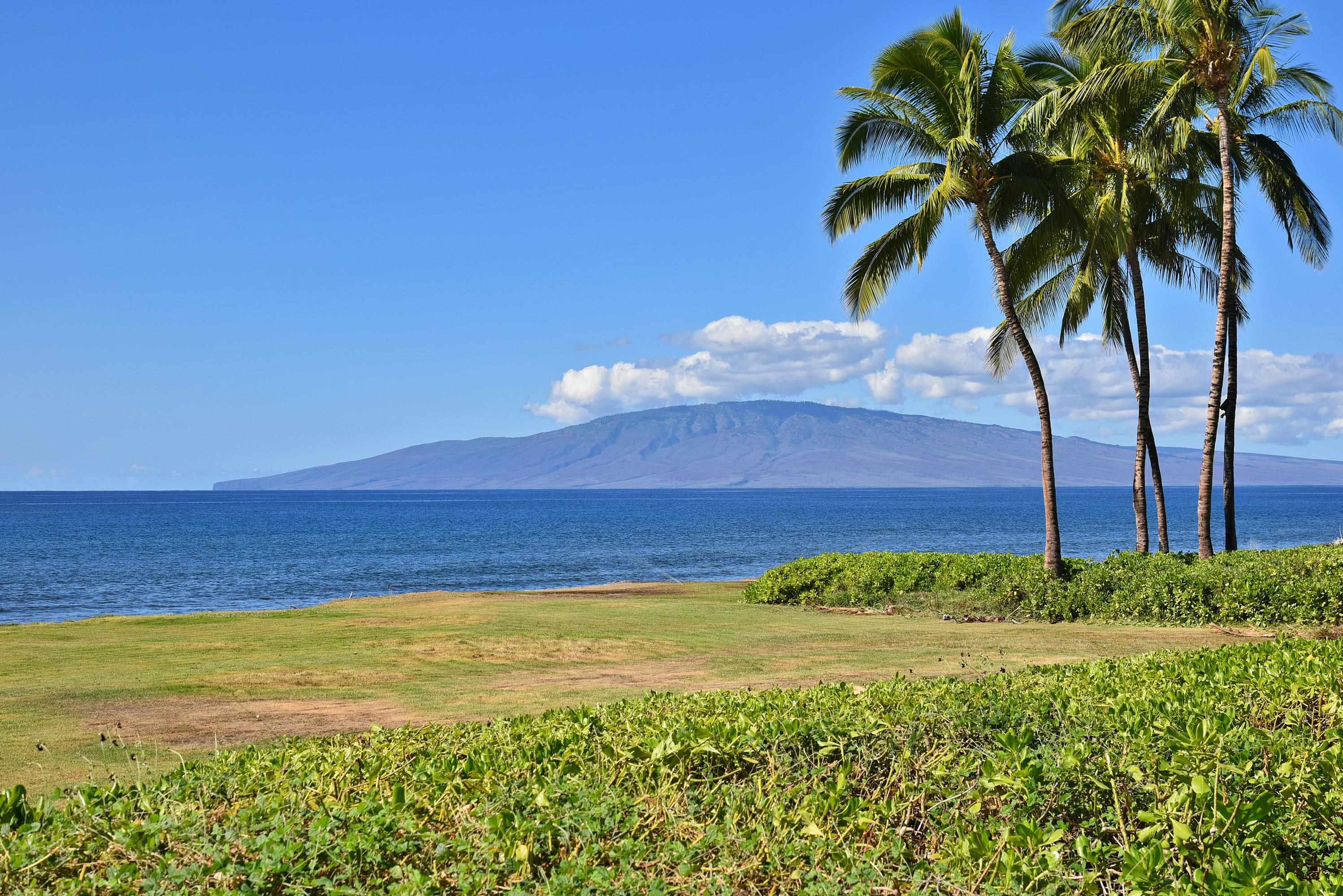49  Kuahulu Pl , Olowalu home - photo 49 of 50