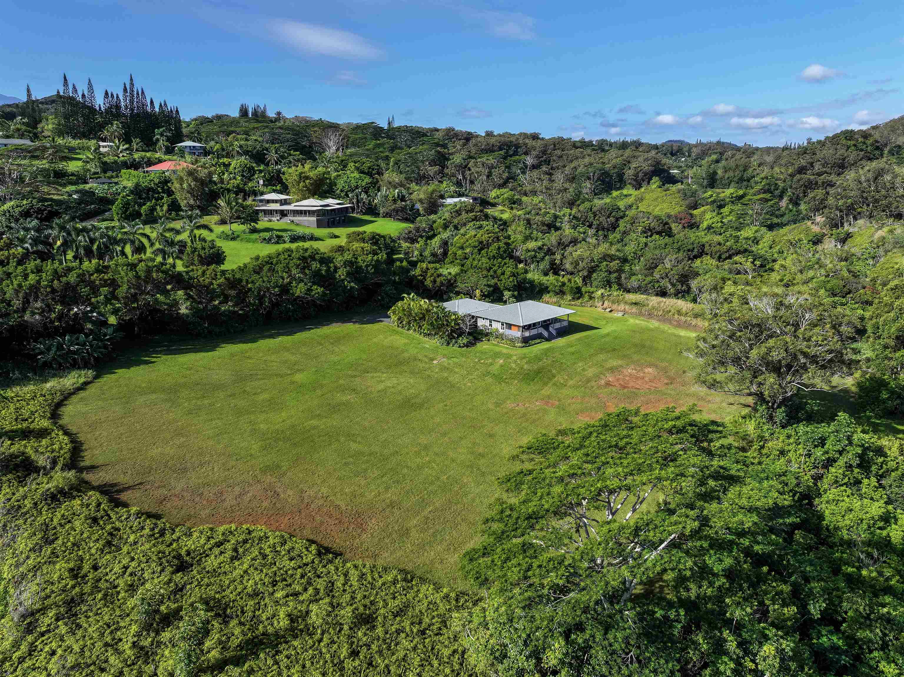 49  Leleaka Pl Haiku, Haiku home - photo 22 of 48