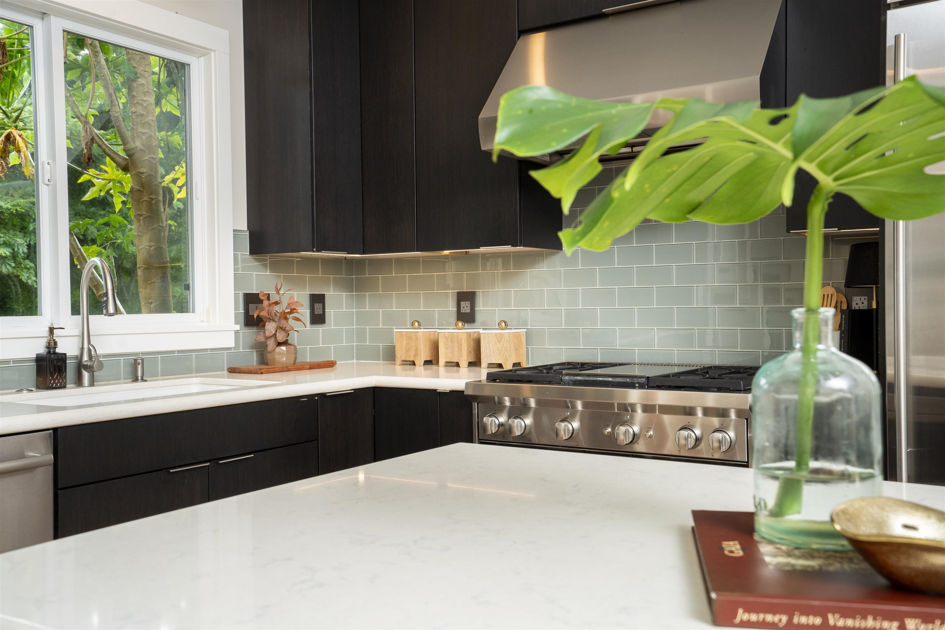 49  Leleaka Pl Haiku, Haiku home - photo 46 of 48