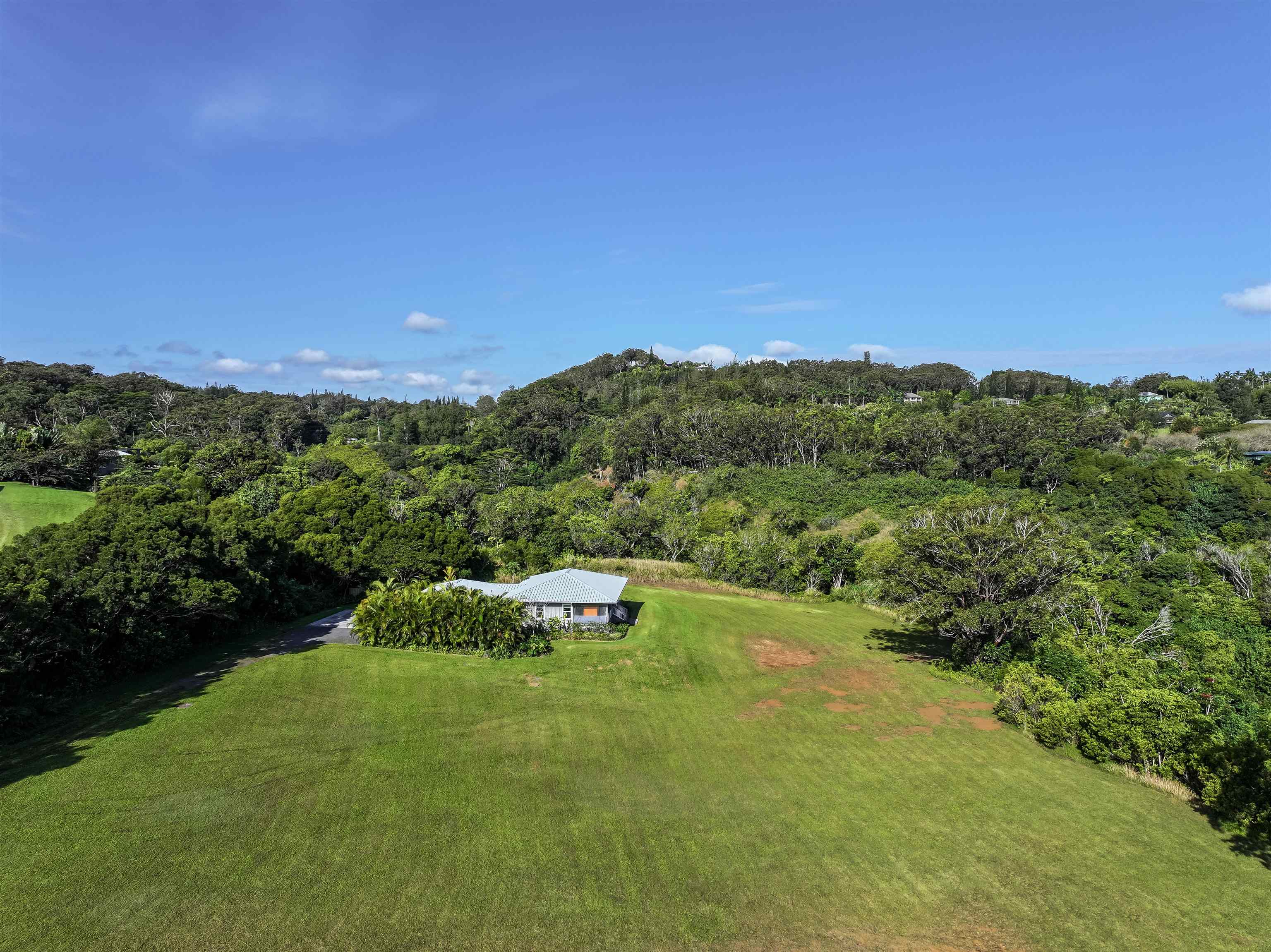 49  Leleaka Pl Haiku, Haiku home - photo 9 of 48