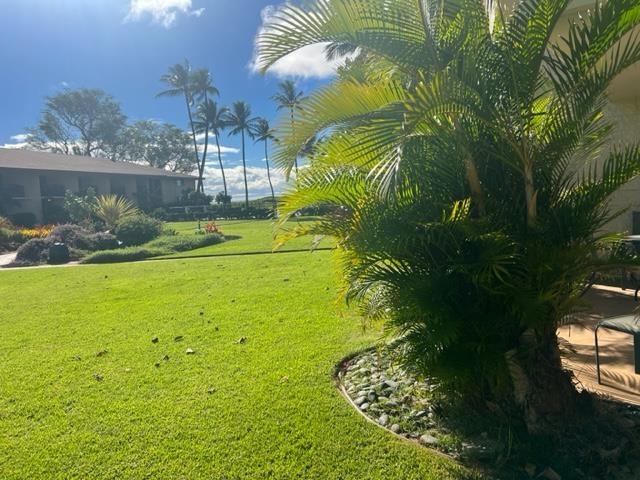 Waiohuli Beach Hale condo # 107, Kihei, Hawaii - photo 17 of 25