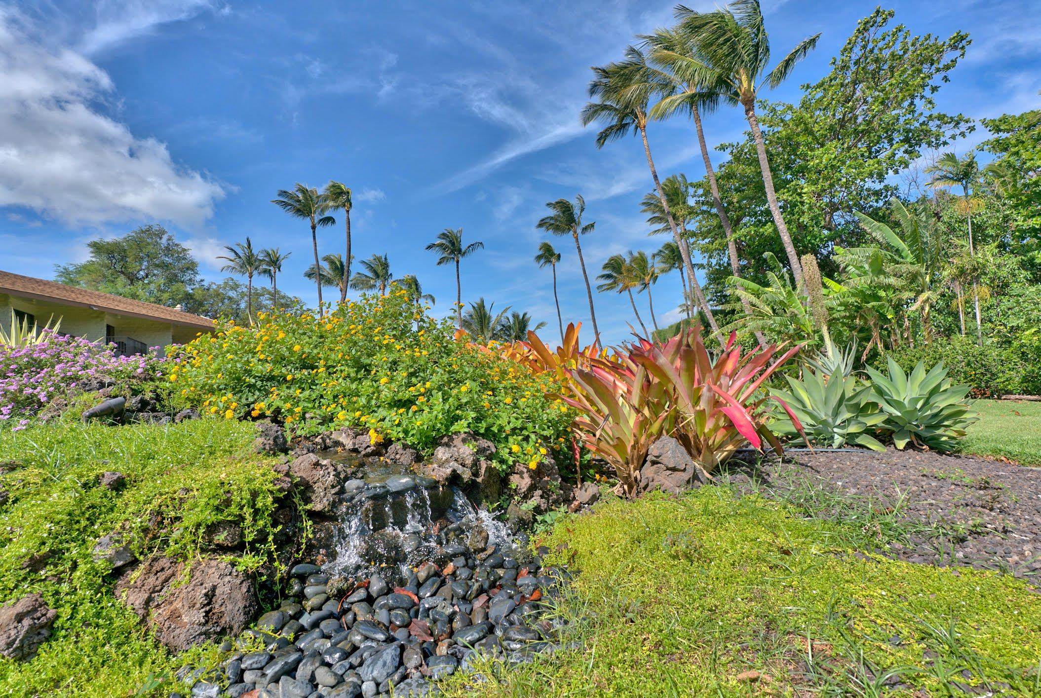 Waiohuli Beach Hale condo # 107, Kihei, Hawaii - photo 23 of 25