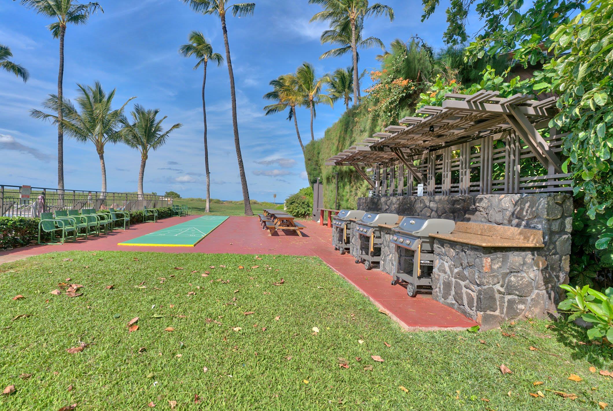 Waiohuli Beach Hale condo # 107, Kihei, Hawaii - photo 24 of 25