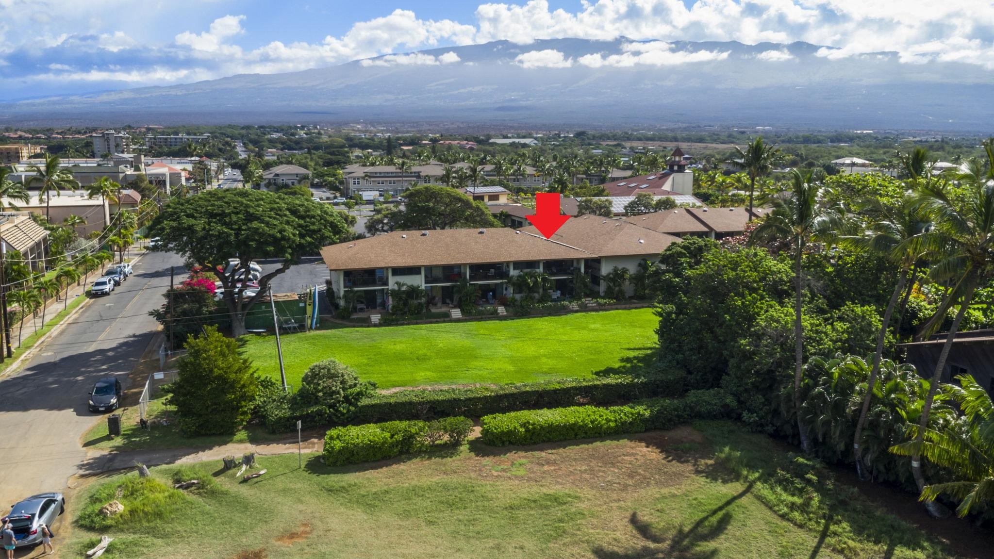 Waiohuli Beach Hale condo # 204, Kihei, Hawaii - photo 4 of 50