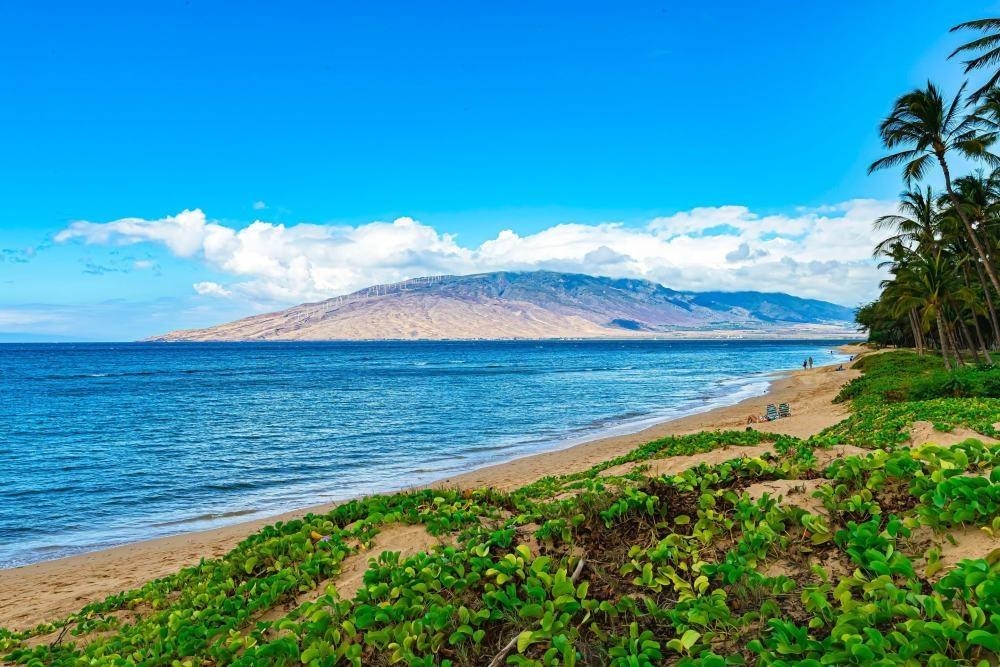 Waiohuli Beach Hale condo # 212, Kihei, Hawaii - photo 37 of 45