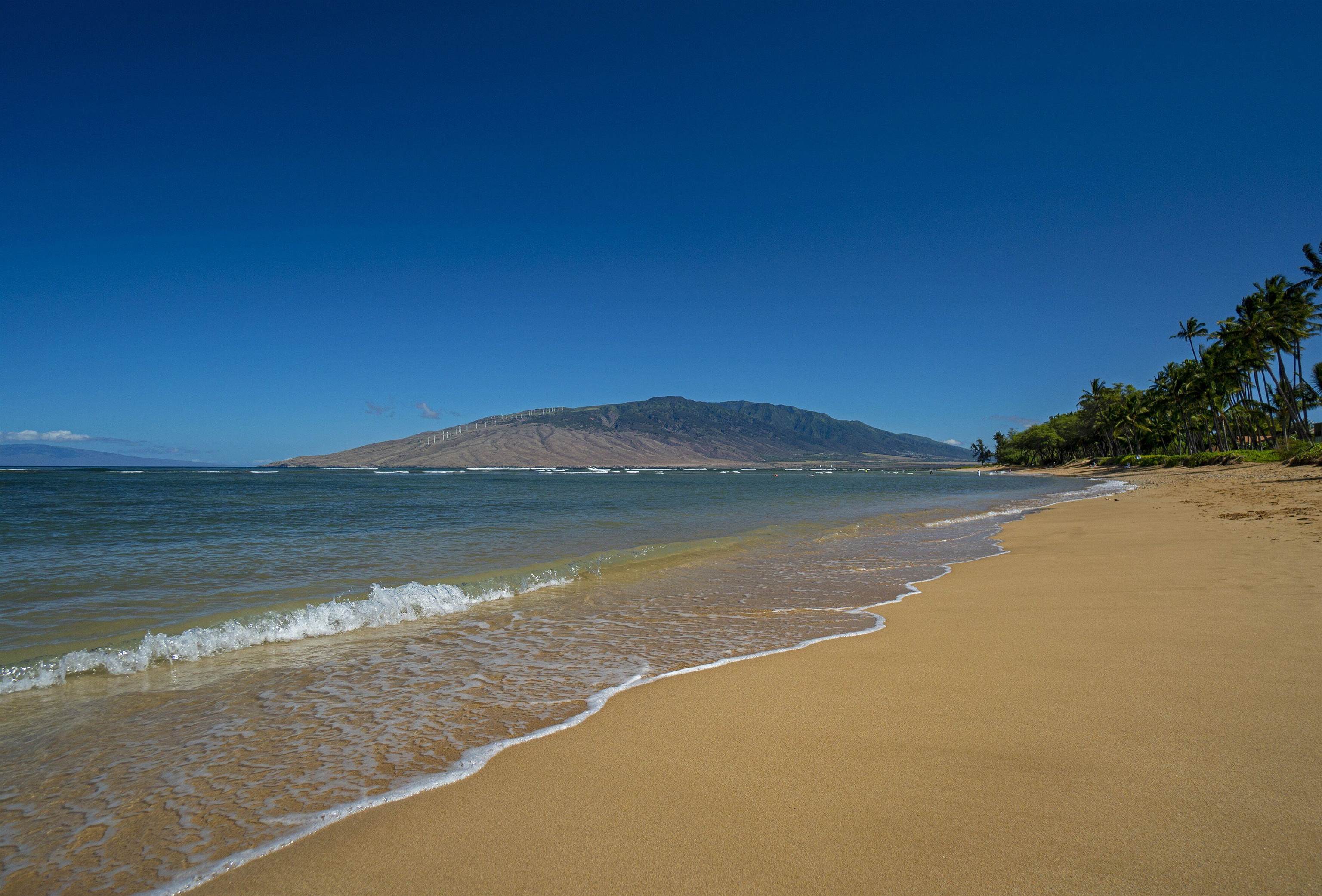 Waiohuli Beach Hale condo # 212, Kihei, Hawaii - photo 39 of 45