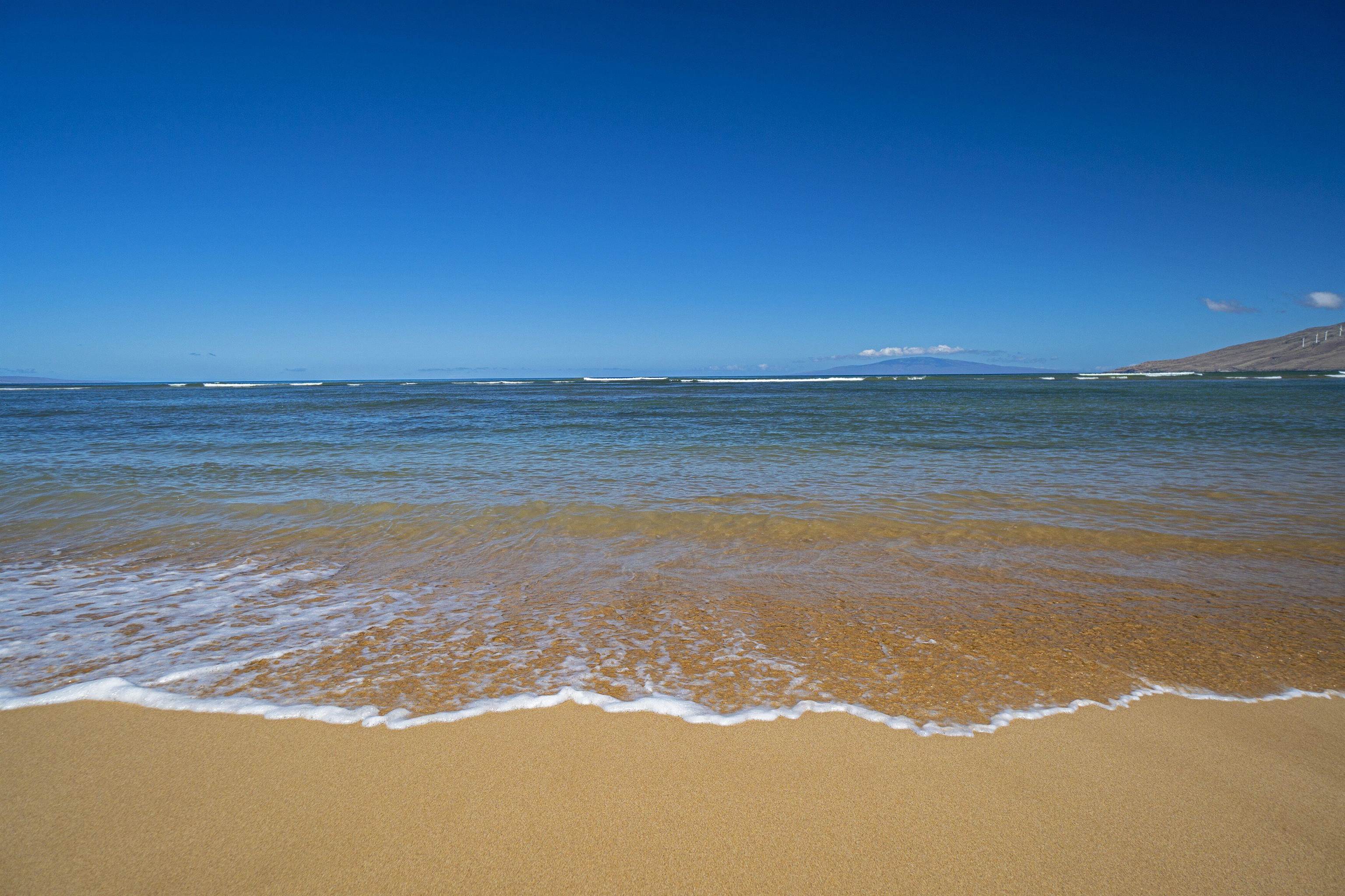 Waiohuli Beach Hale condo # 212, Kihei, Hawaii - photo 41 of 45