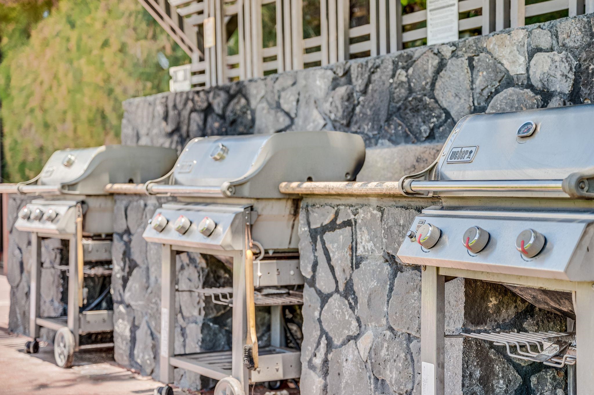 Waiohuli Beach Hale condo # 218, Kihei, Hawaii - photo 29 of 38