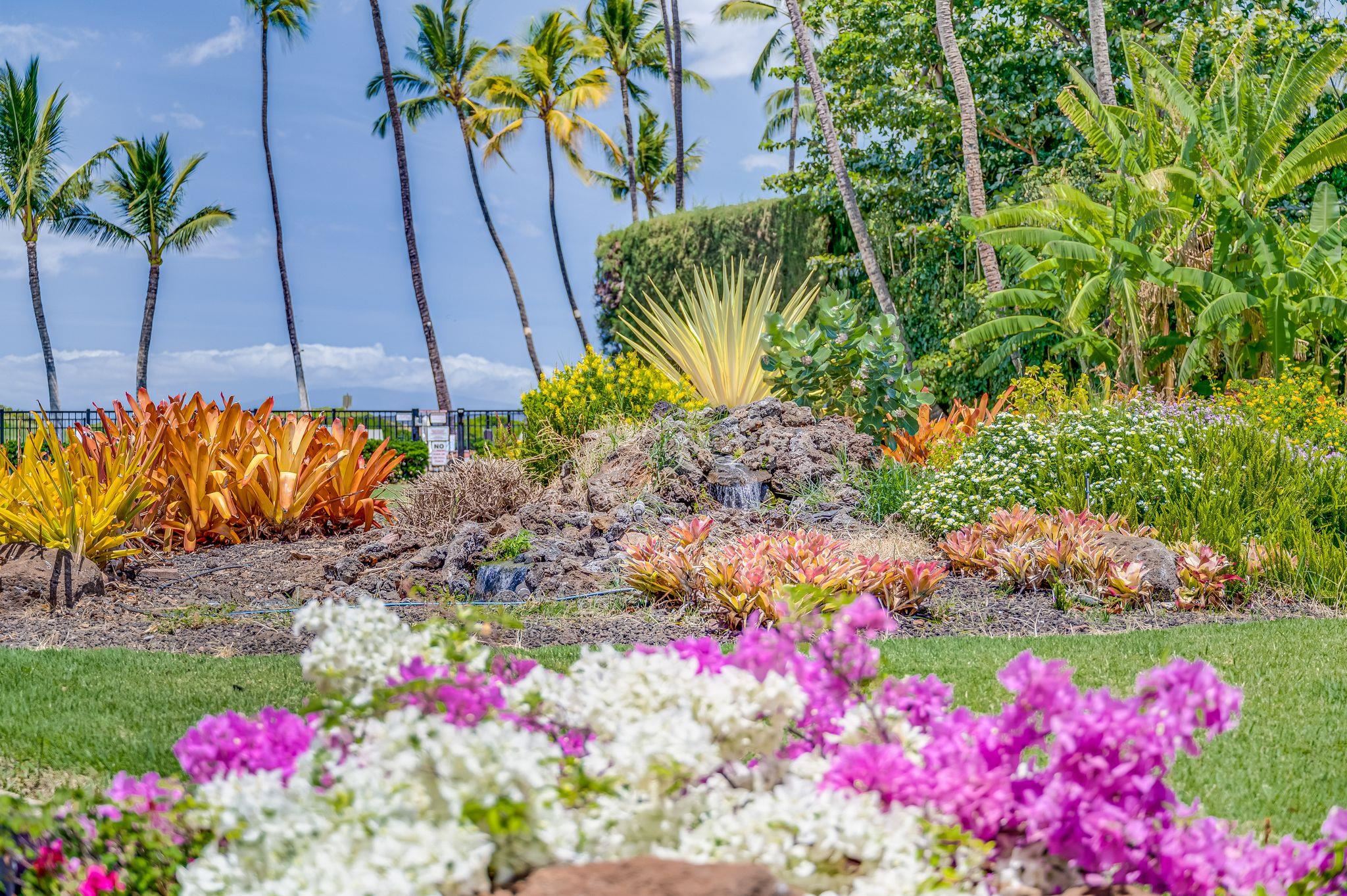 Waiohuli Beach Hale condo # 218, Kihei, Hawaii - photo 30 of 38