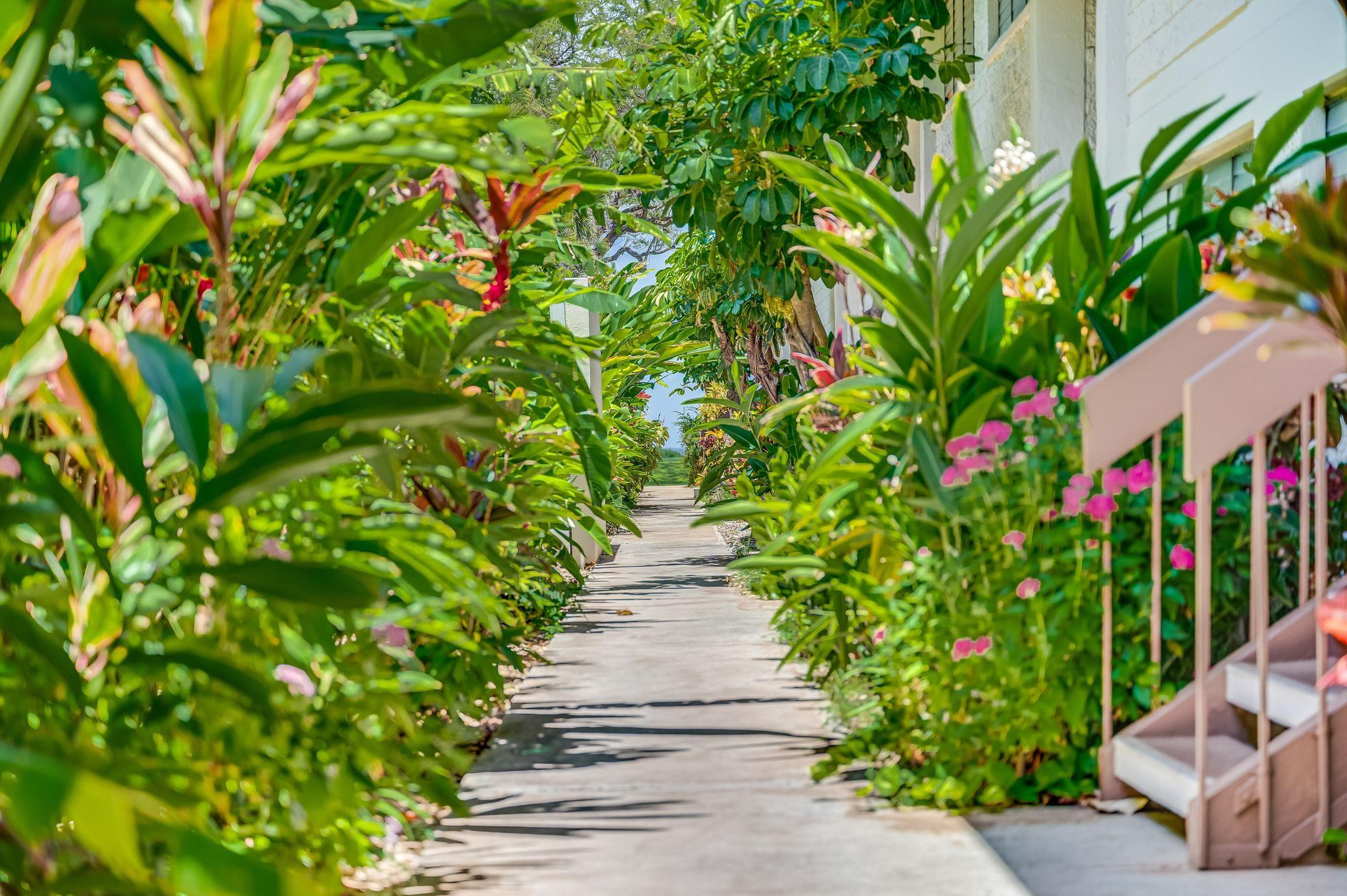Waiohuli Beach Hale condo # 218, Kihei, Hawaii - photo 31 of 38