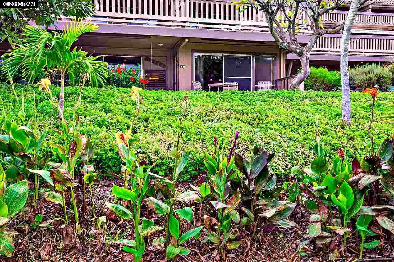 Kahana Sunset condo # B1B, Lahaina, Hawaii - photo 21 of 25