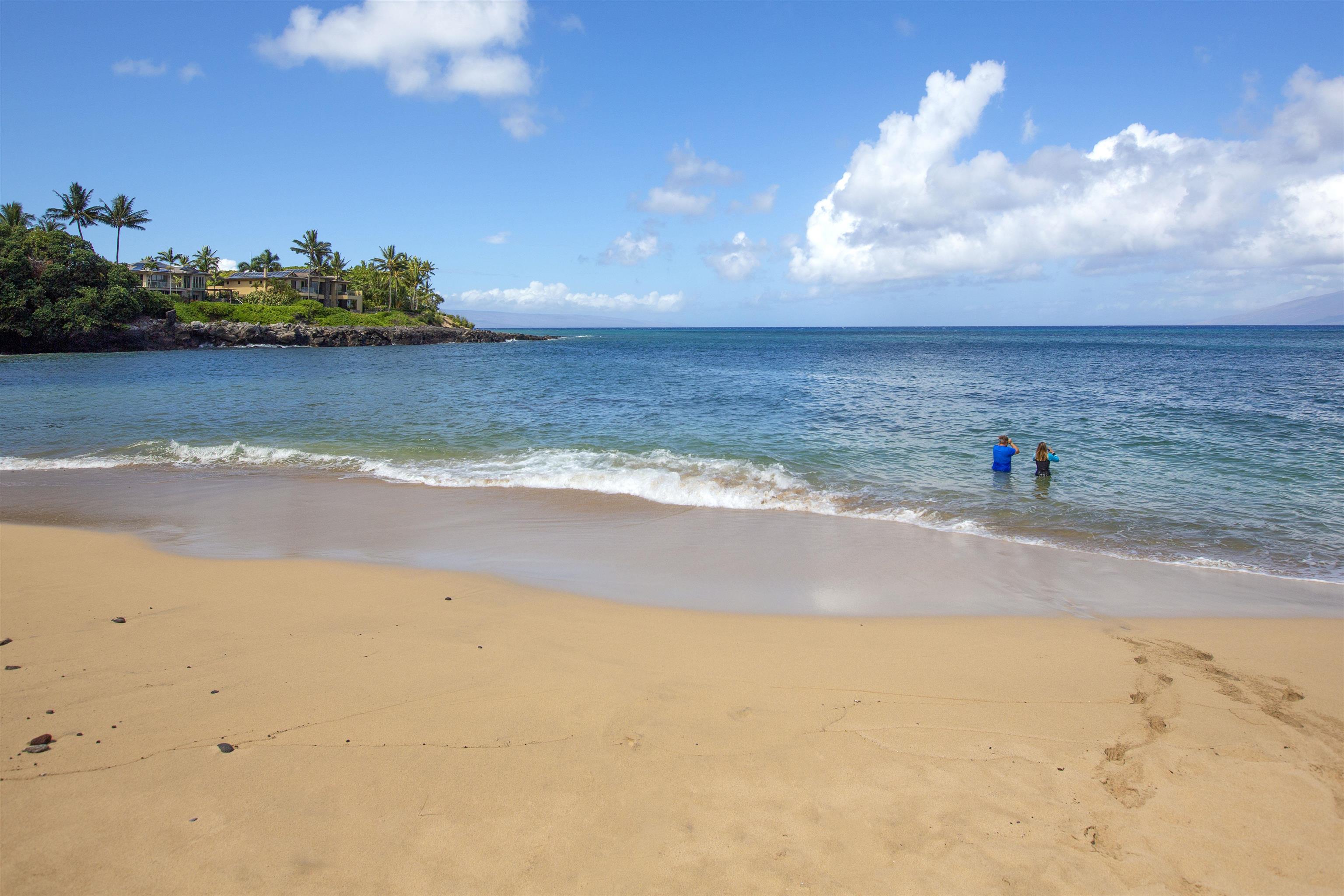 Kahana Sunset condo # A4, Lahaina, Hawaii - photo 23 of 31