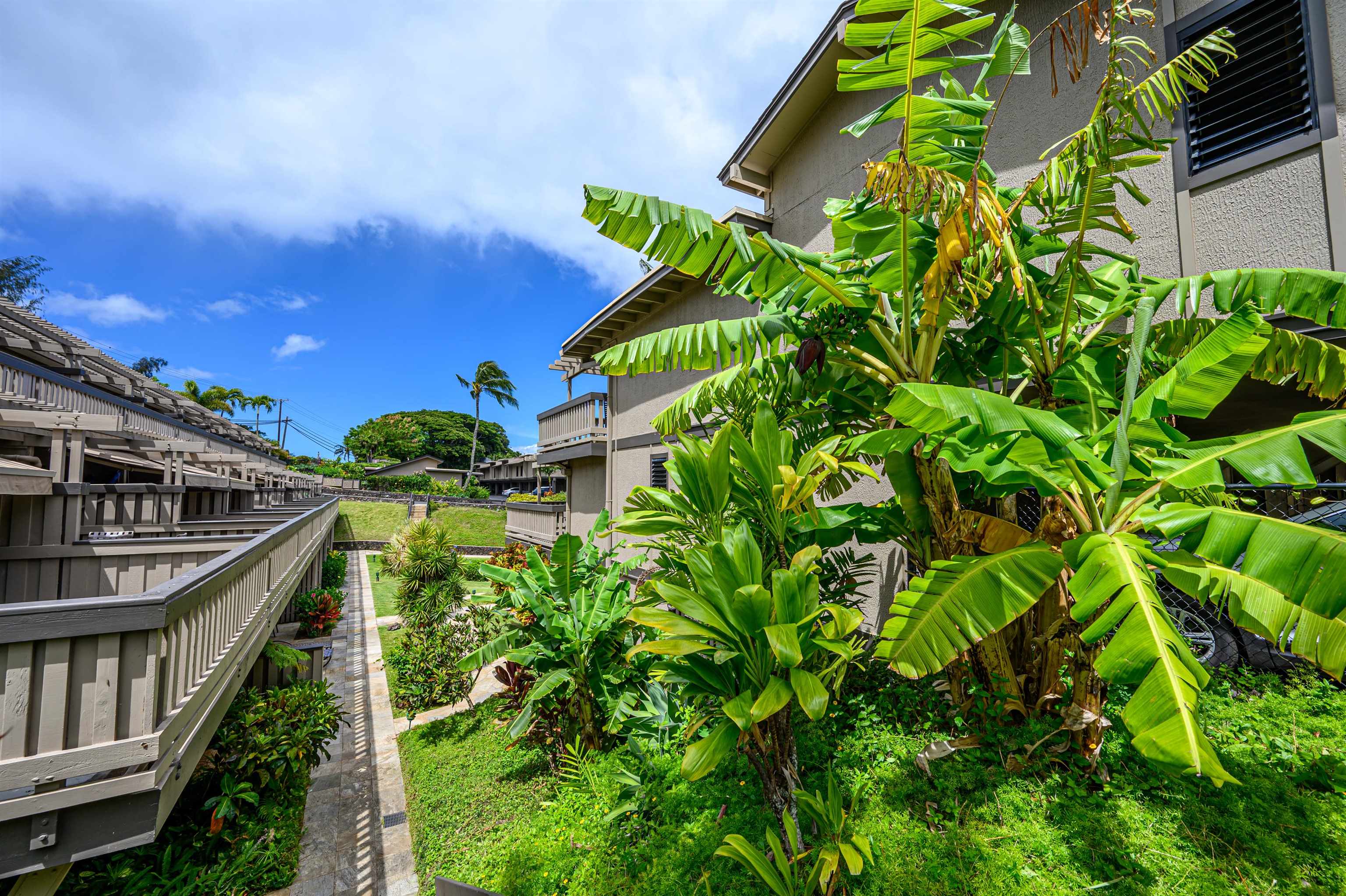 Kahana Sunset condo # D6, Lahaina, Hawaii - photo 43 of 45