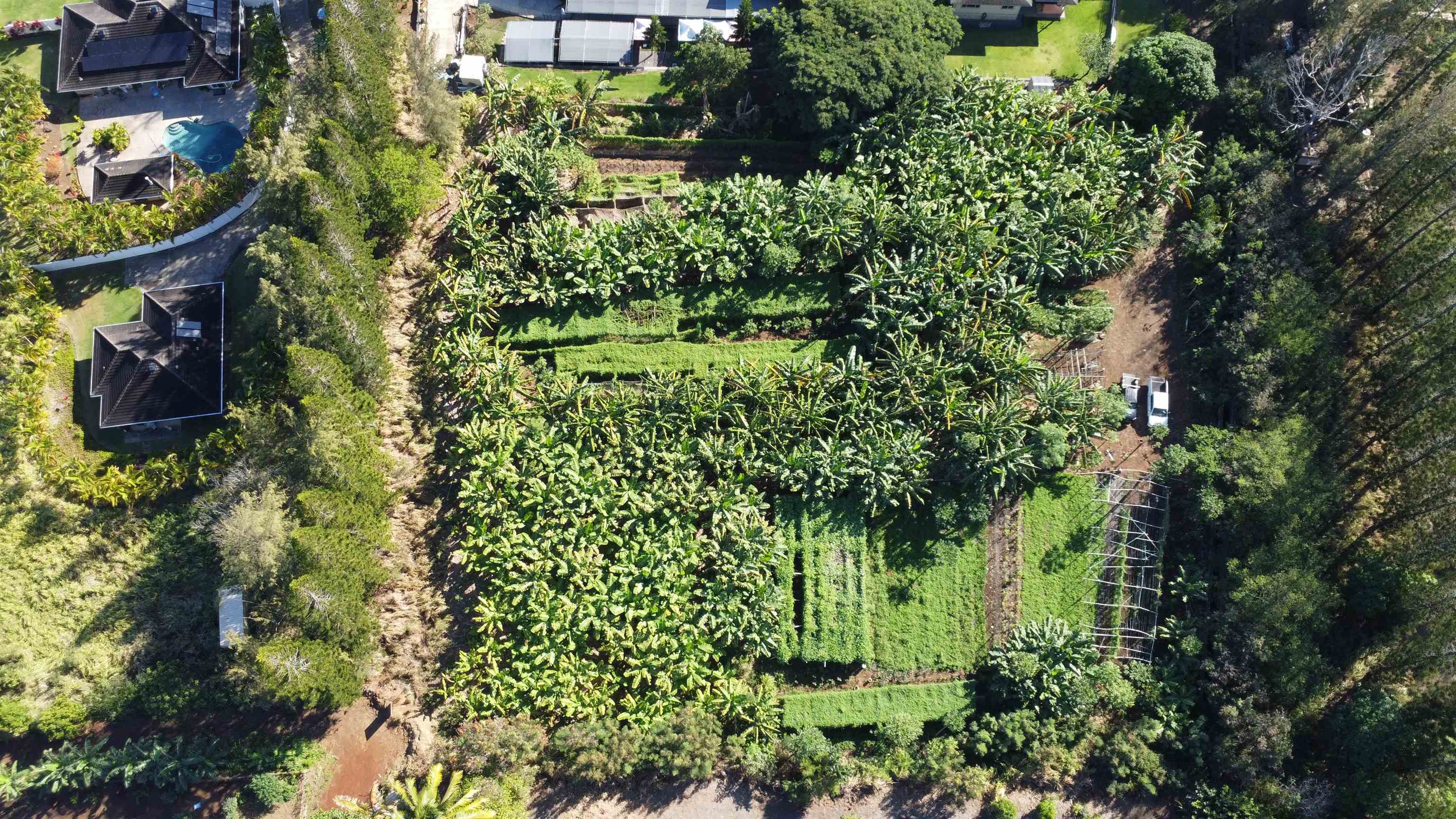 491 Anekona St  Wailuku, Hi vacant land for sale - photo 3 of 13