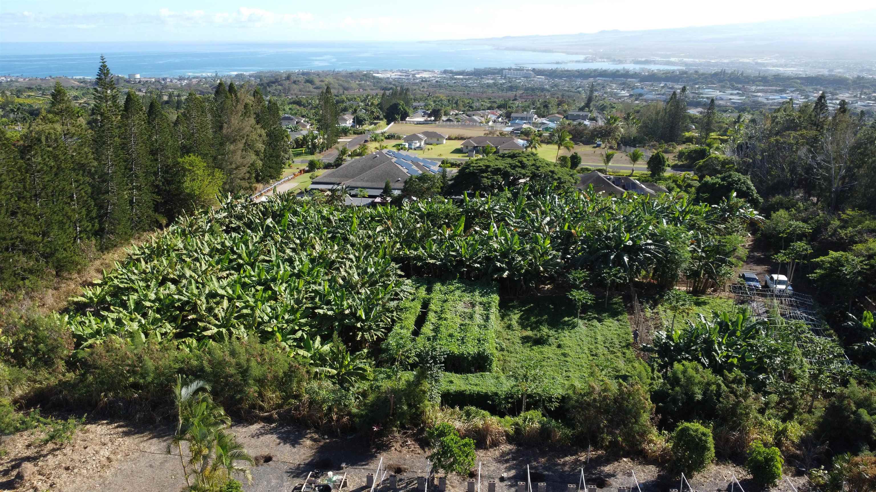 491 Anekona St  Wailuku, Hi vacant land for sale - photo 7 of 13