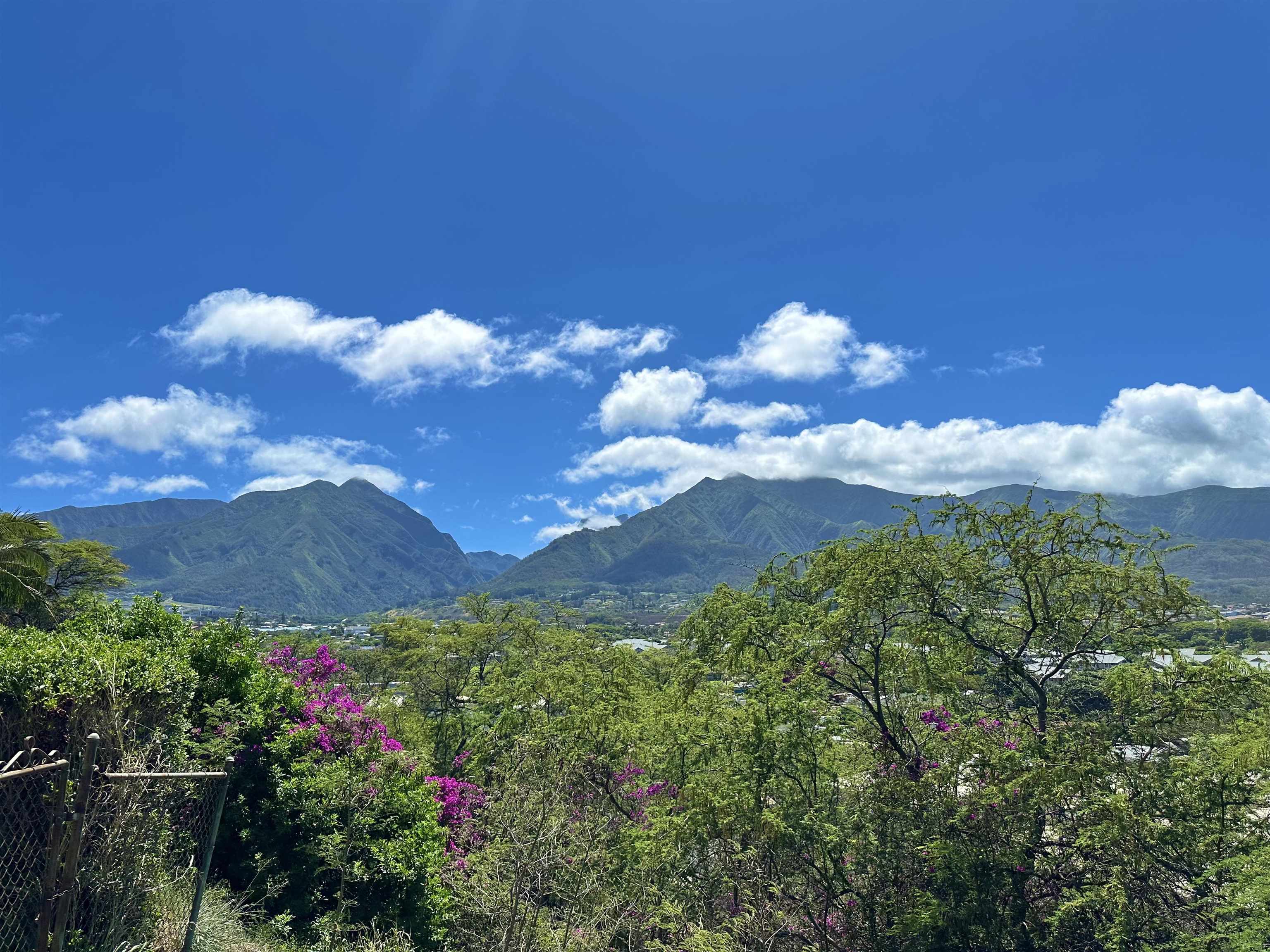 Puuone Terrace condo # 201, Wailuku, Hawaii - photo 20 of 21