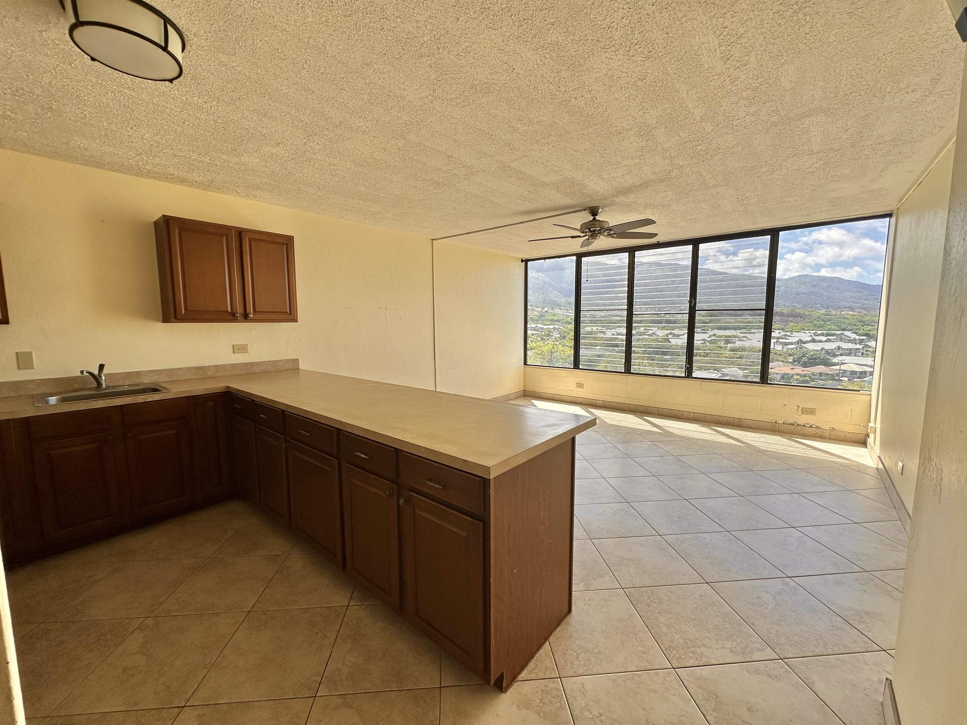 Puuone Terrace condo # 201, Wailuku, Hawaii - photo 8 of 21