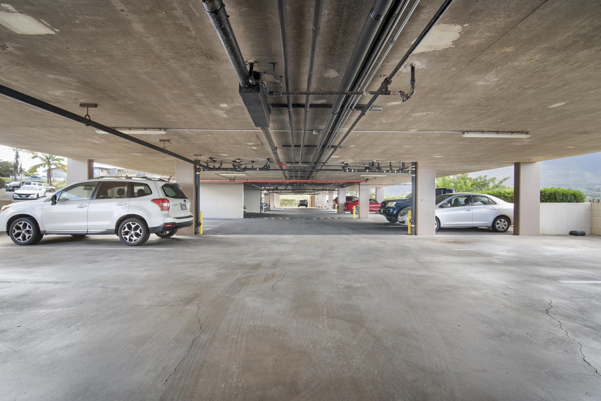 Puuone Terrace condo # 216, Wailuku, Hawaii - photo 17 of 24