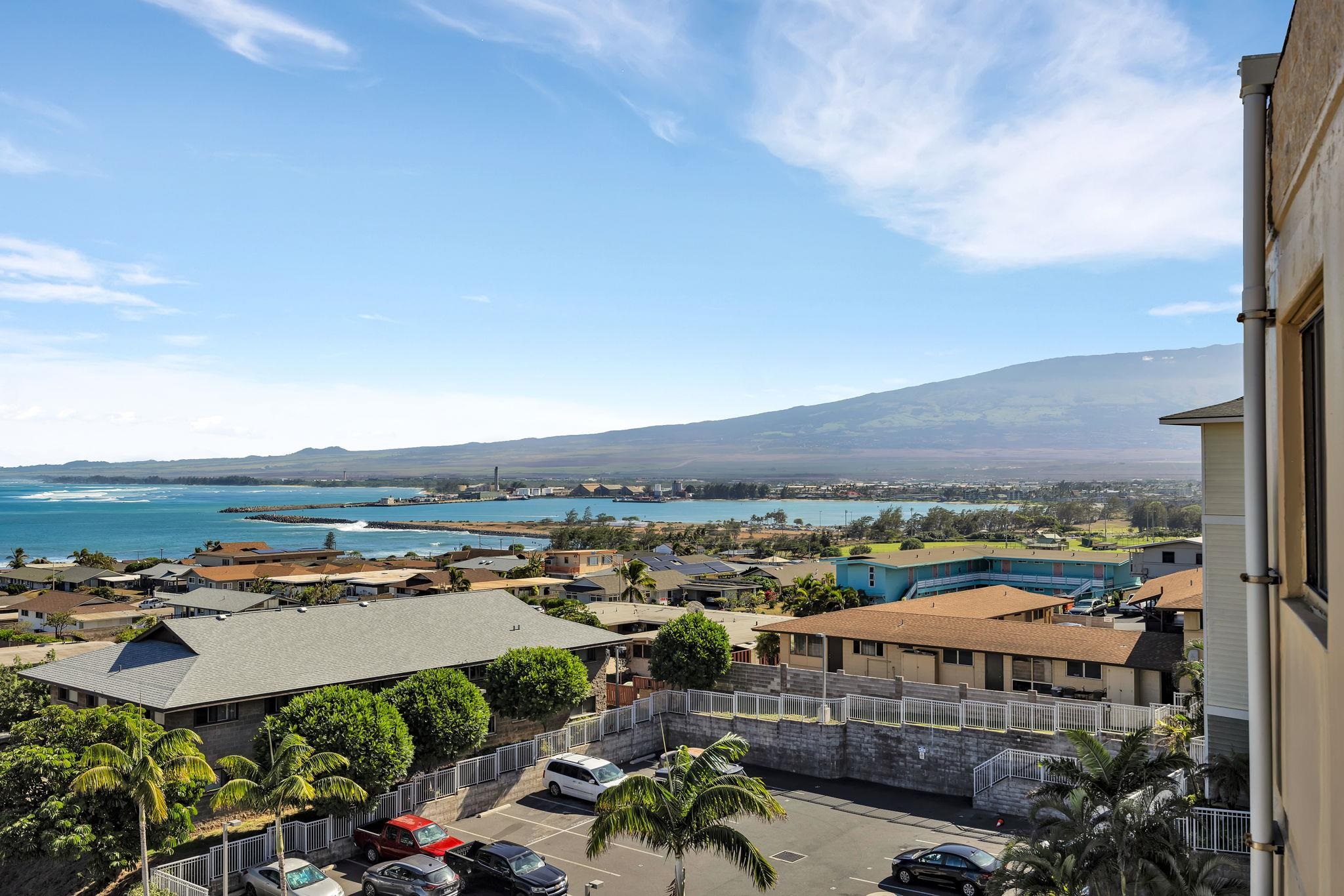 Puuone Terrace condo # 416, Wailuku, Hawaii - photo 27 of 34