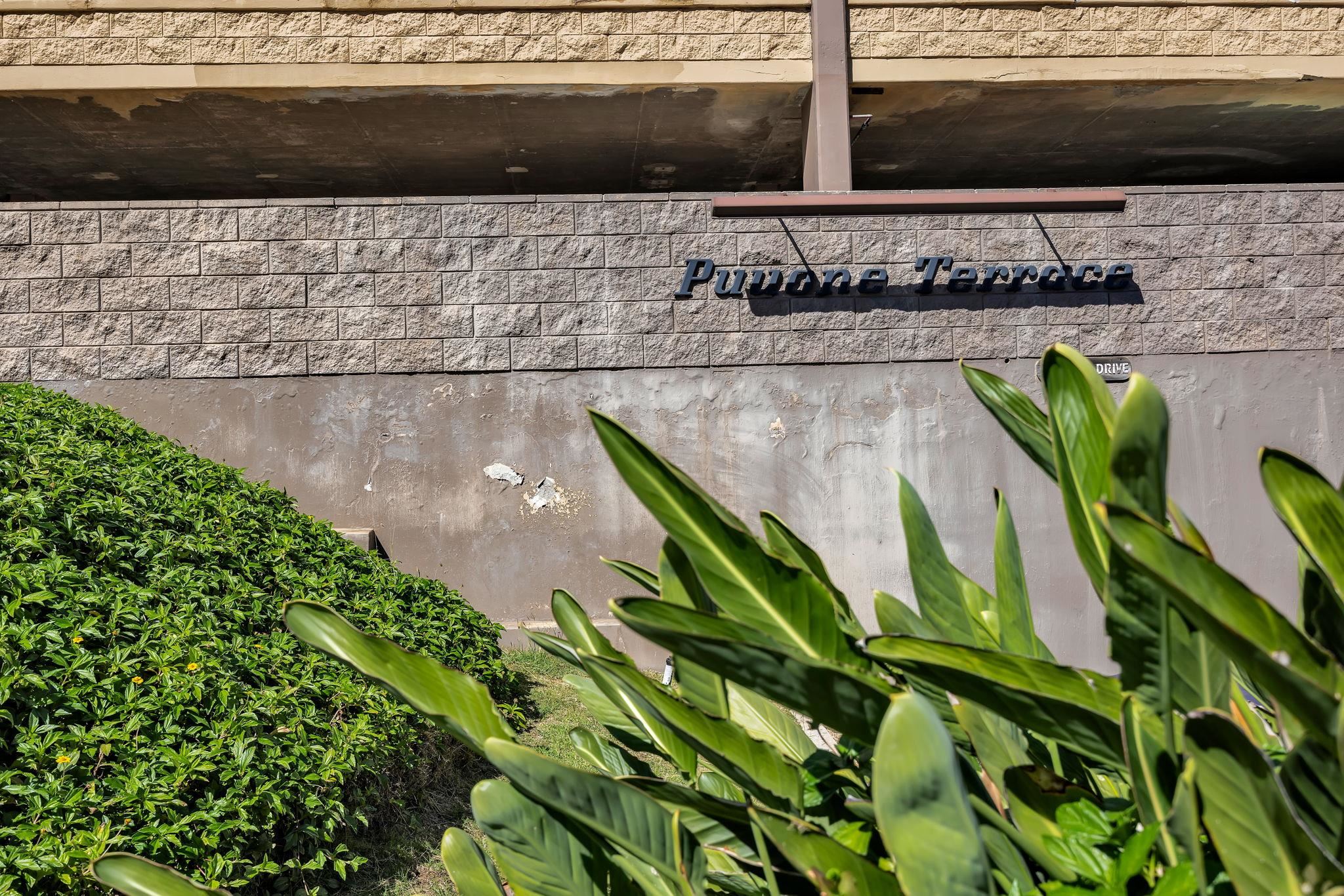 Puuone Terrace condo # 416, Wailuku, Hawaii - photo 27 of 29