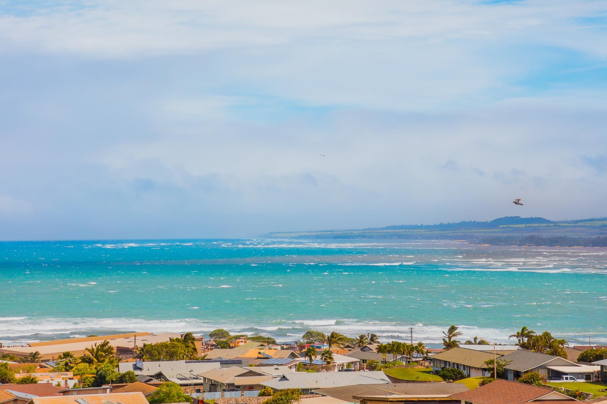 Puuone Terrace condo # 419, Wailuku, Hawaii - photo 13 of 15