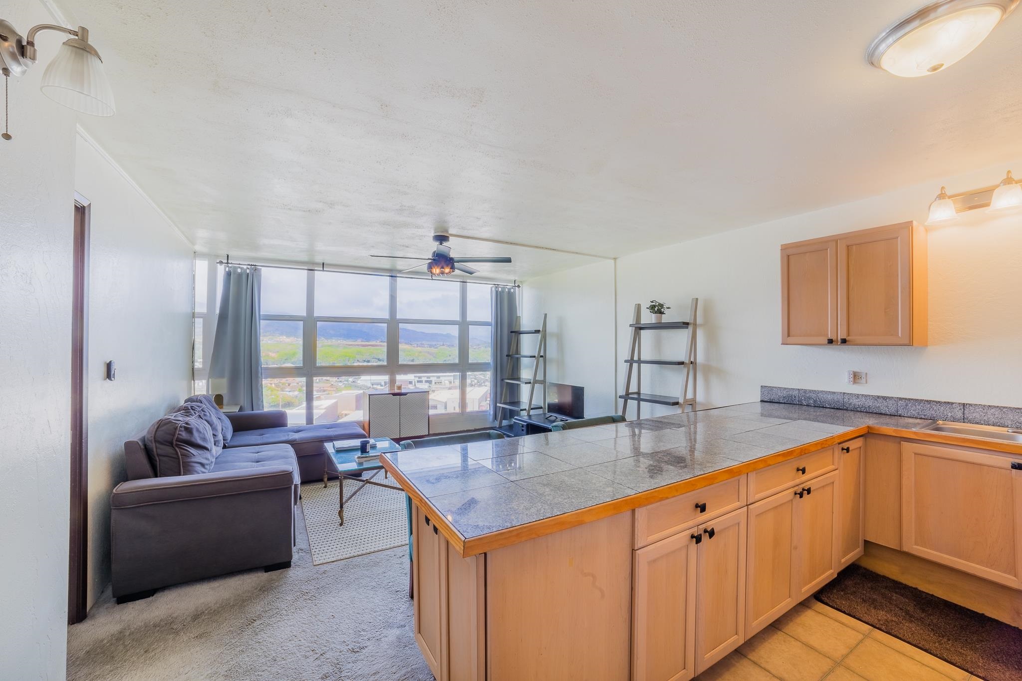 Puuone Terrace condo # 419, Wailuku, Hawaii - photo 3 of 16