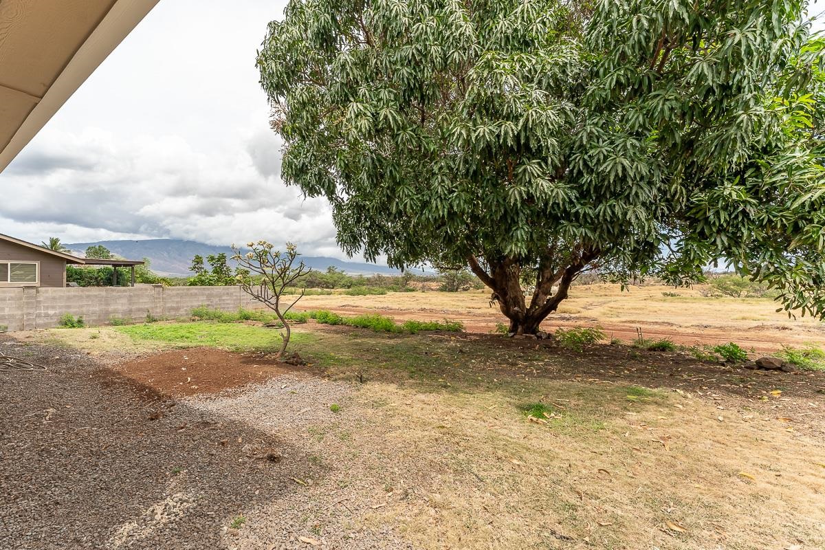 495  Kaiolohia St , Kihei home - photo 46 of 50
