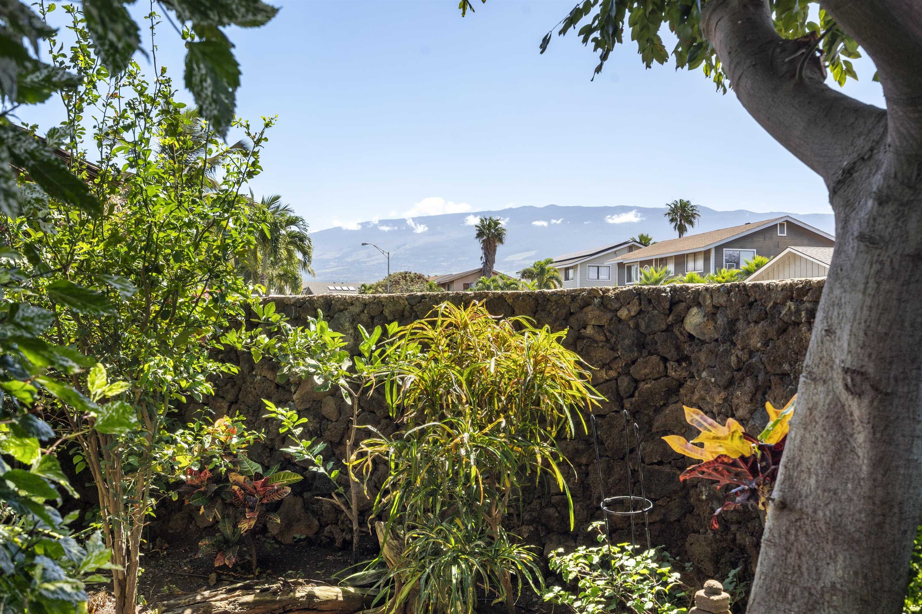 495  Kaiwahine St Kihei, Kihei home - photo 28 of 37