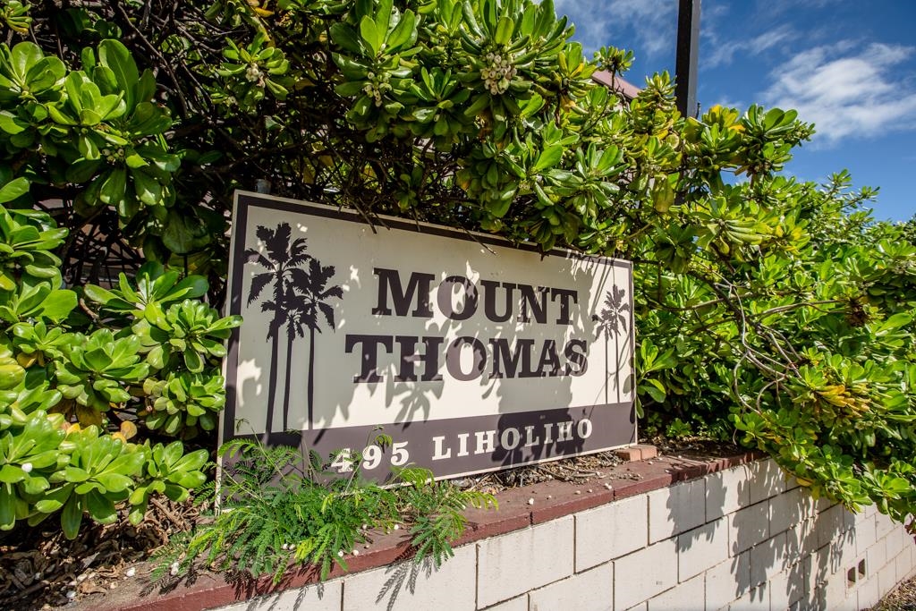 Mount Thomas 5, 495 LIHOLIHO St, Wailuku Puuone