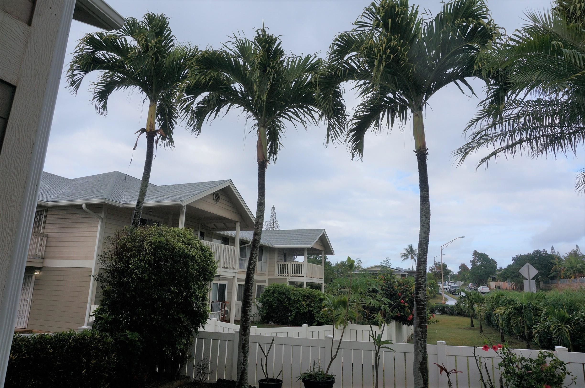 Napilihau Villages I condo # 2-103, Lahaina, Hawaii - photo 14 of 25
