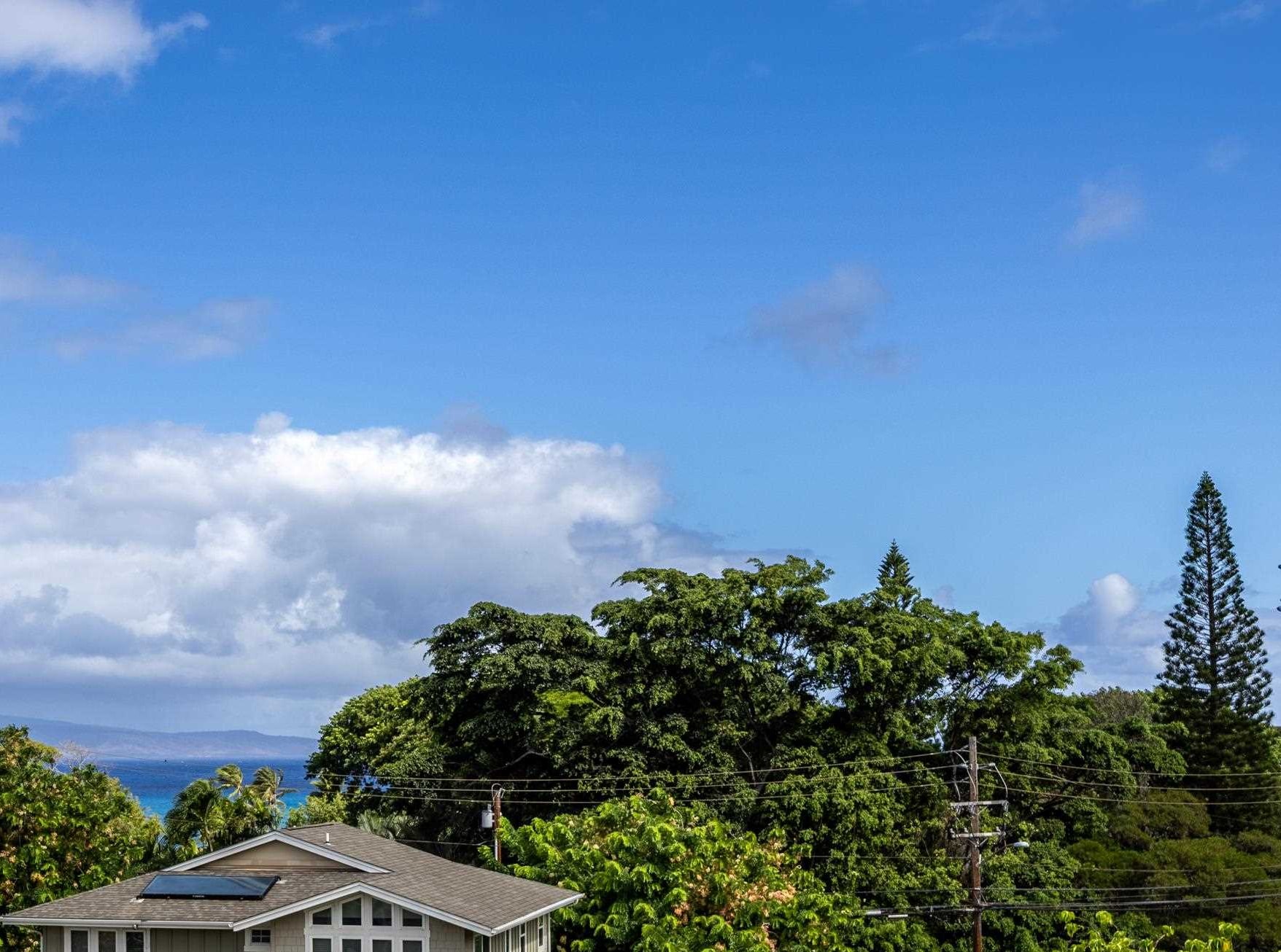 Napilihau Villages I condo # 6 202, Lahaina, Hawaii - photo 37 of 39