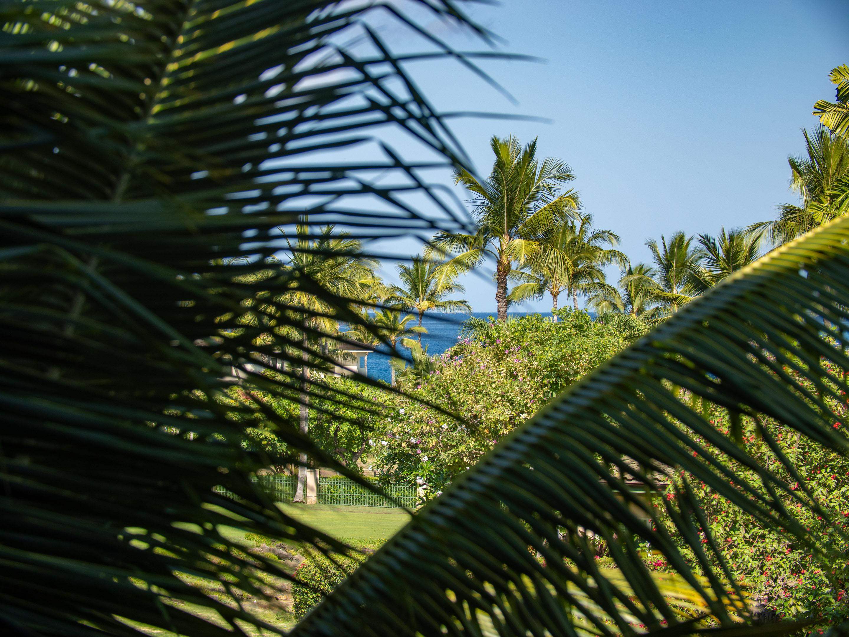 Na Hale O Makena condo # D102, Kihei, Hawaii - photo 17 of 45