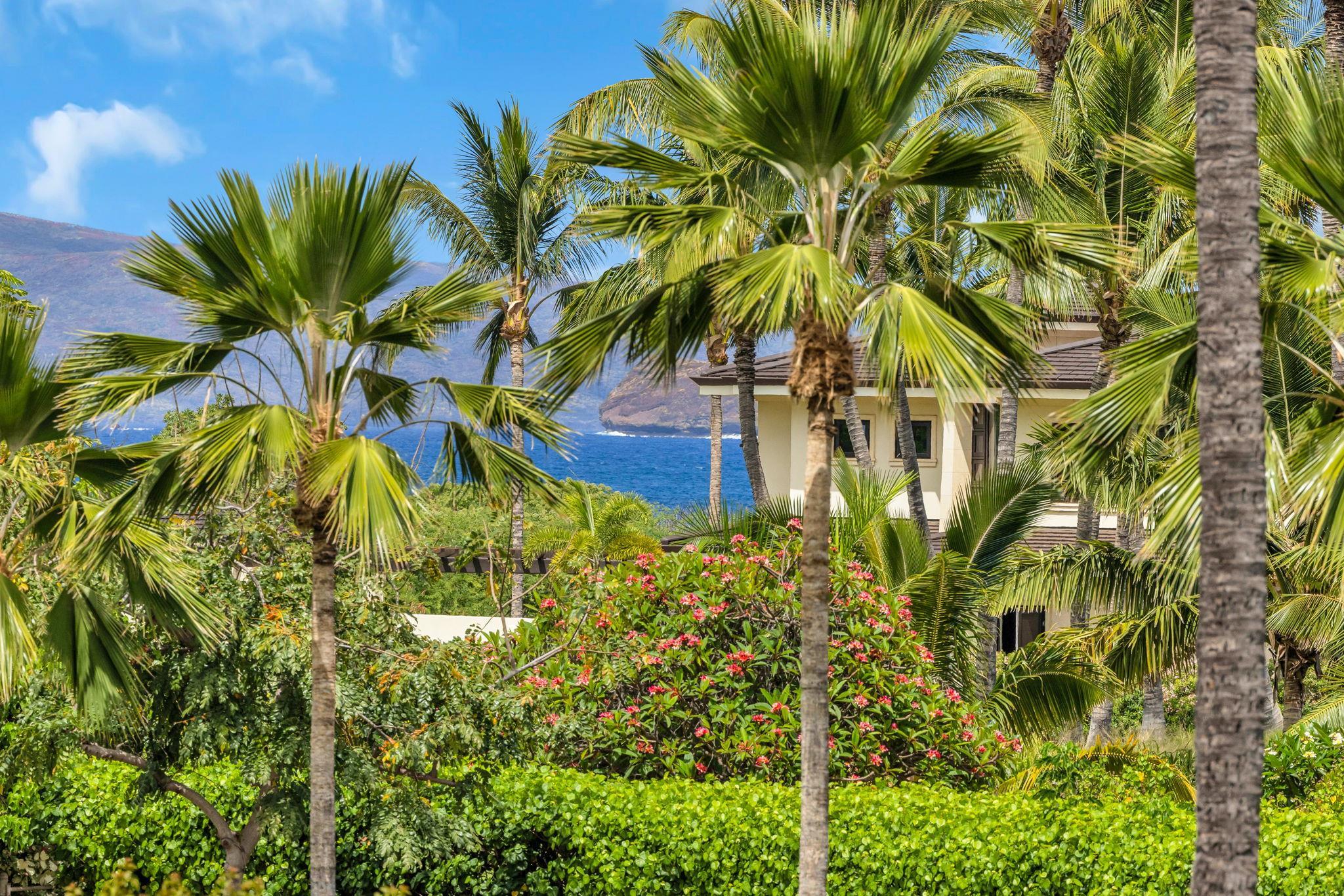 Na Hale O Makena condo # F102, Kihei, Hawaii - photo 4 of 50